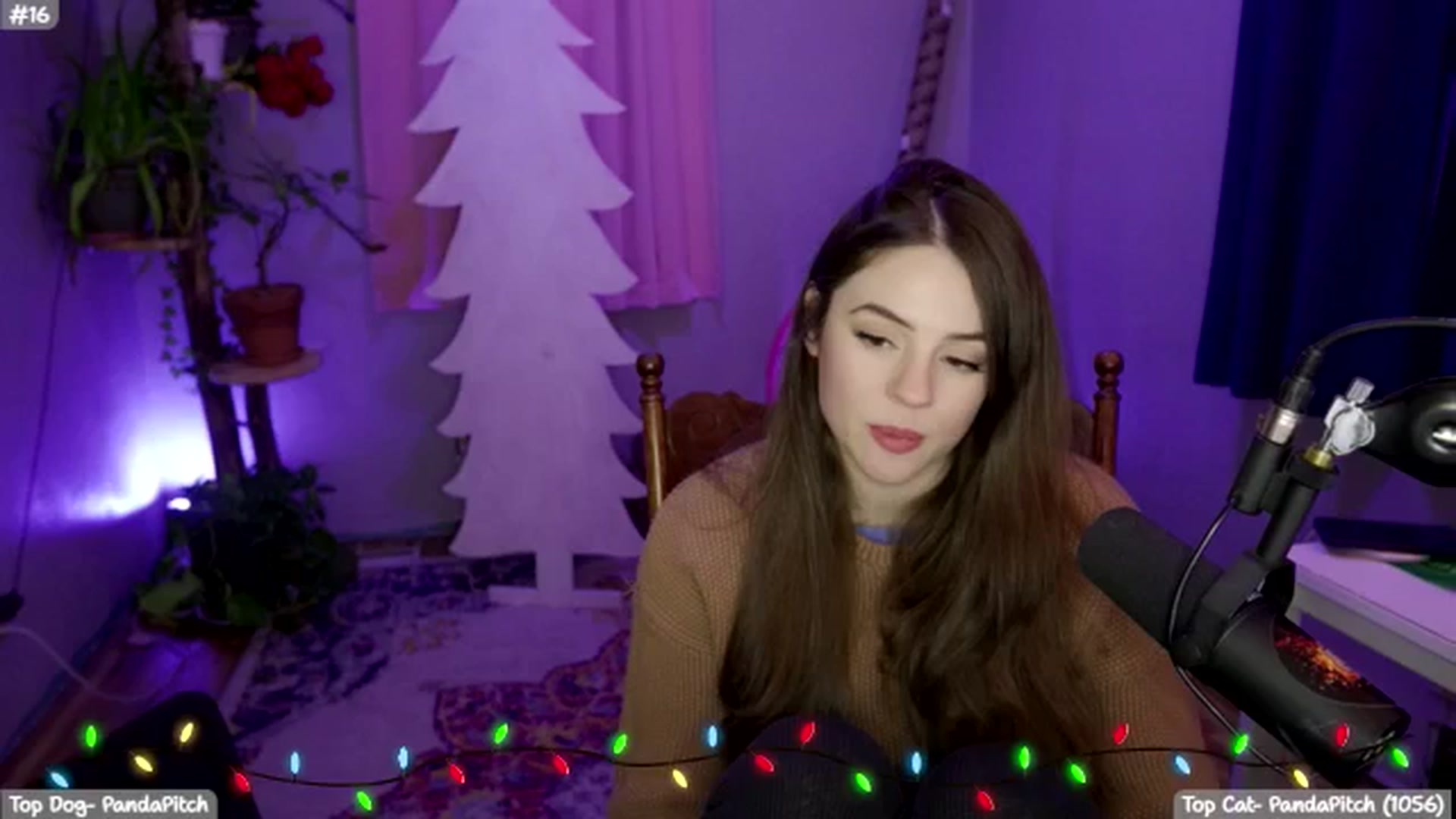 Gallery image thumbnail from SophieLouWho's myfreecams stream on, 12/19/2025, 09:23 image 17 of 20