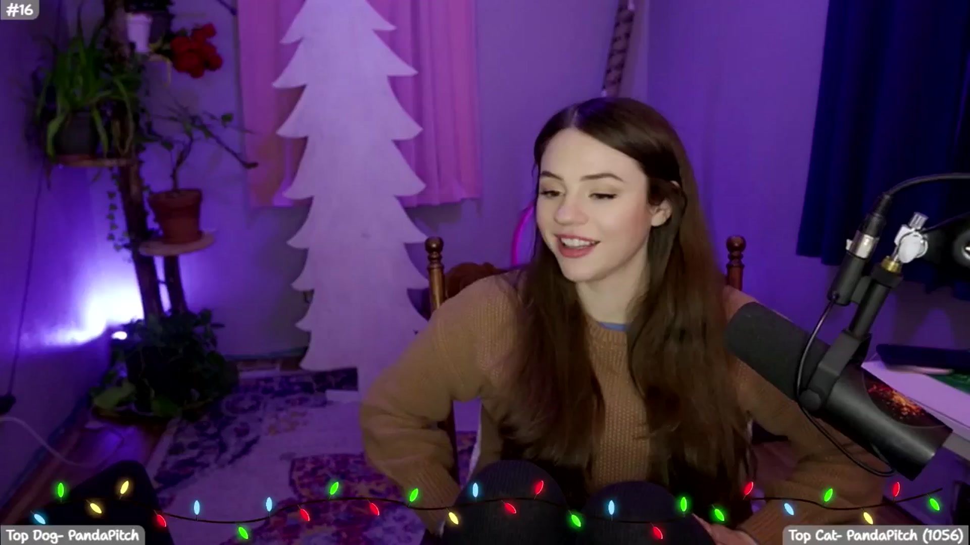Gallery image thumbnail from SophieLouWho's myfreecams stream on, 12/19/2025, 09:23 image 15 of 20