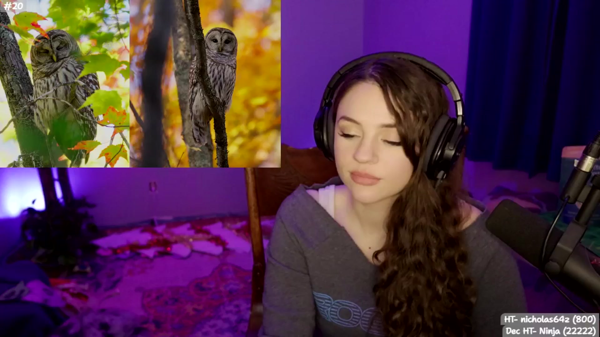 Gallery image thumbnail from SophieLouWho's myfreecams stream on, 12/28/2025, 10:23 image 12 of 20