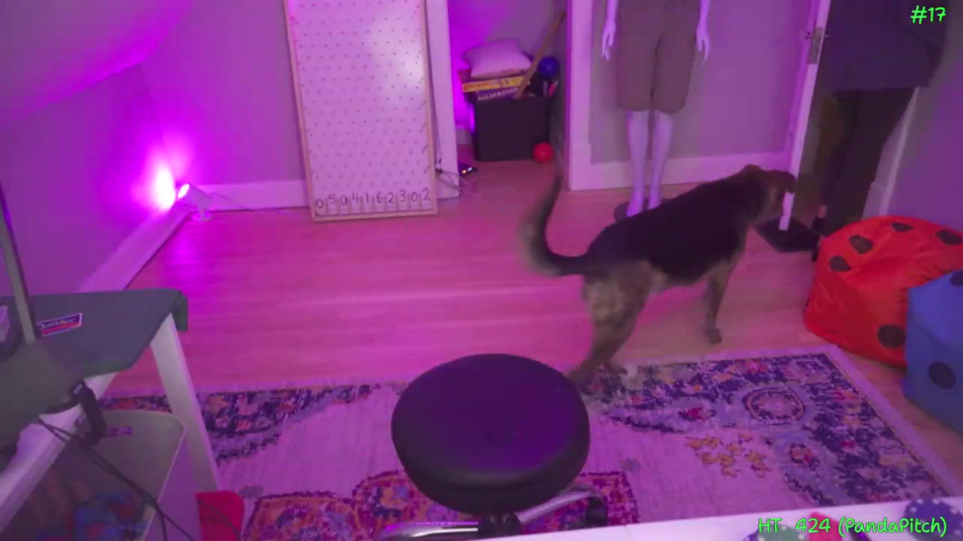 Gallery image thumbnail from SophiesPalace's myfreecams stream on, 03/27/2023, 05:08 image 3 of 20