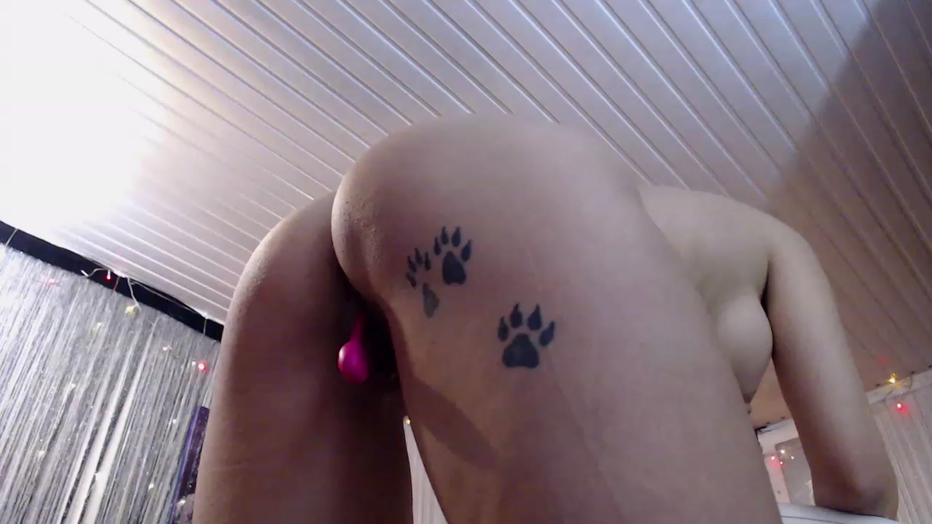 Gallery image thumbnail from Soranaxox's myfreecams stream on, 12/15/2022, 01:42 image 11 of 20