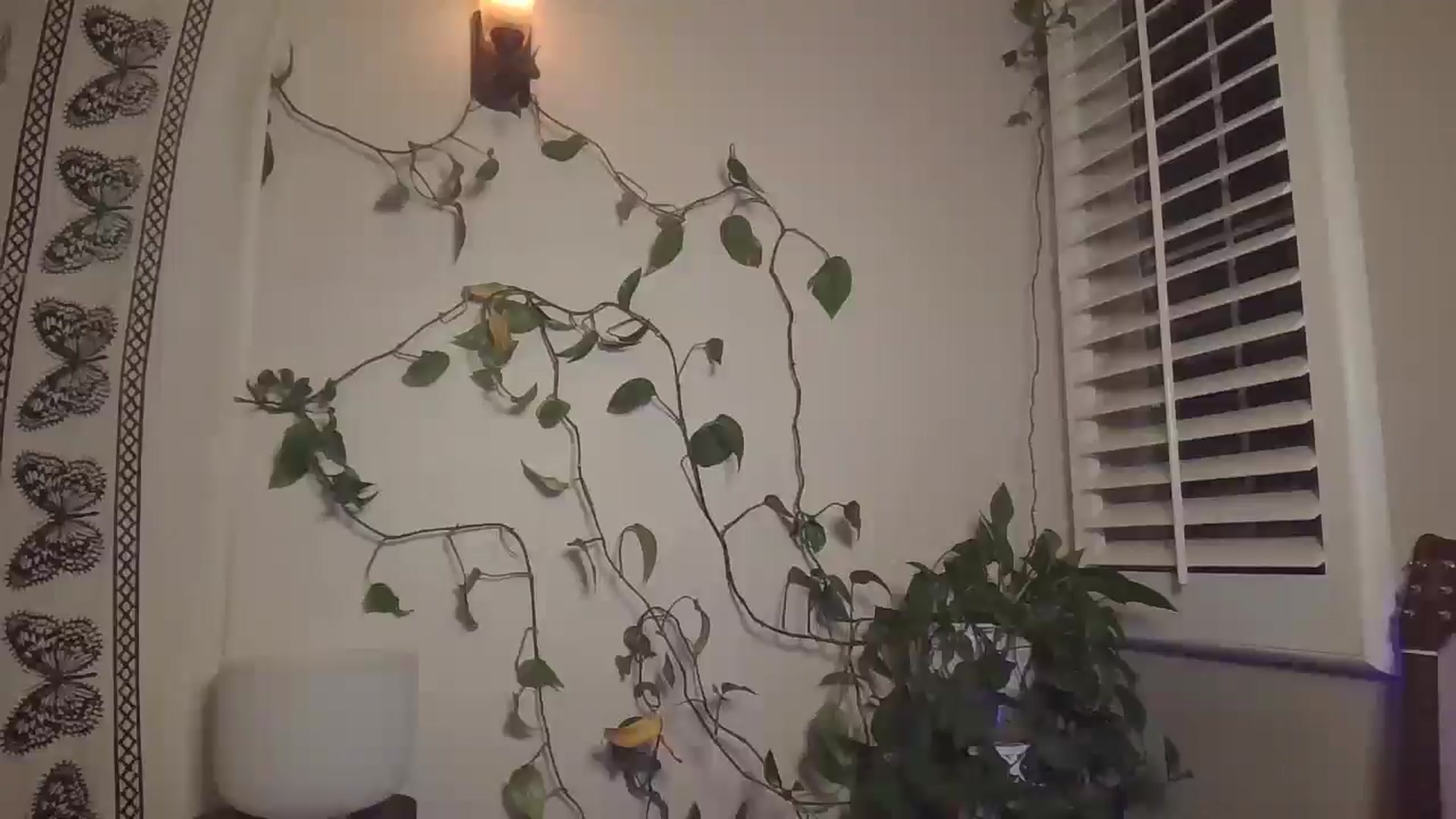 Gallery image thumbnail from Soraya888's myfreecams stream on, 03/11/2025, 06:37 image 5 of 20