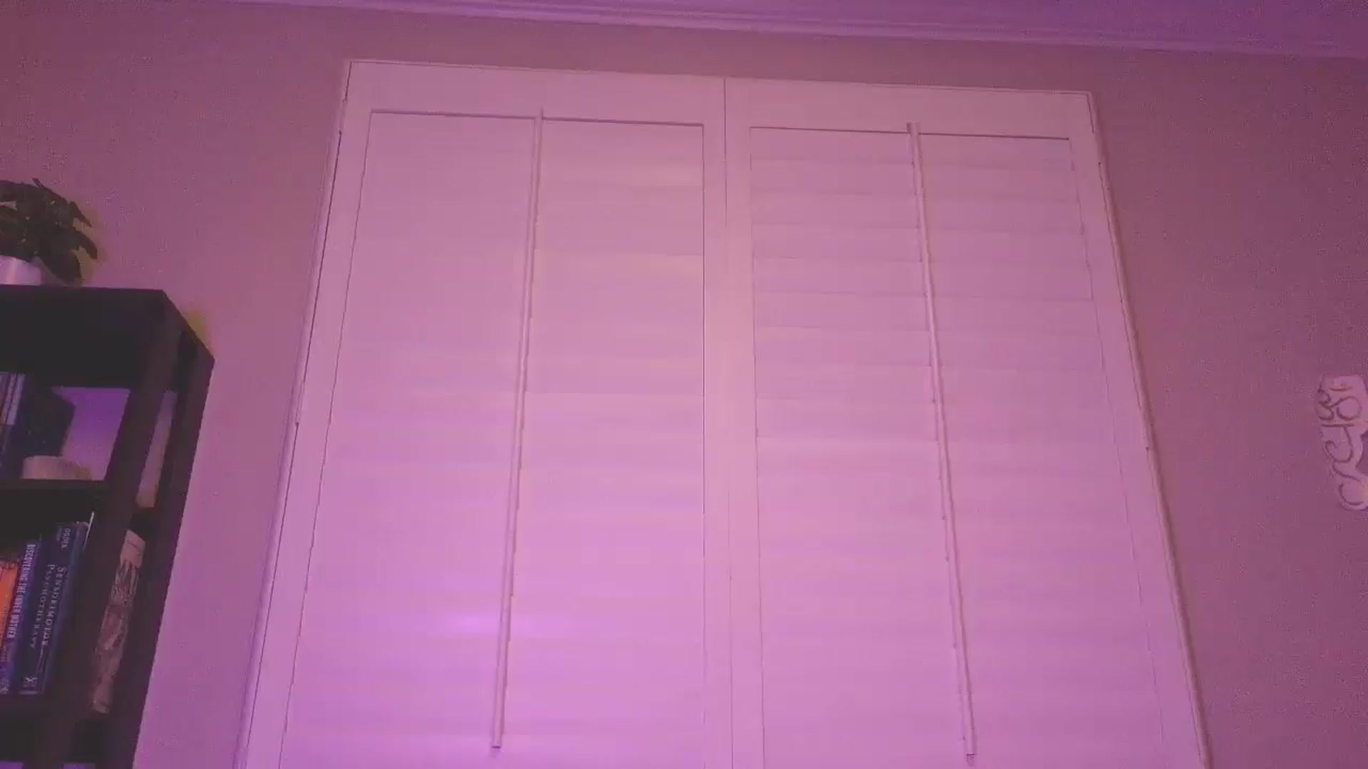 Gallery image thumbnail from Soraya888's myfreecams stream on, 11/04/2025, 07:47 image 16 of 20