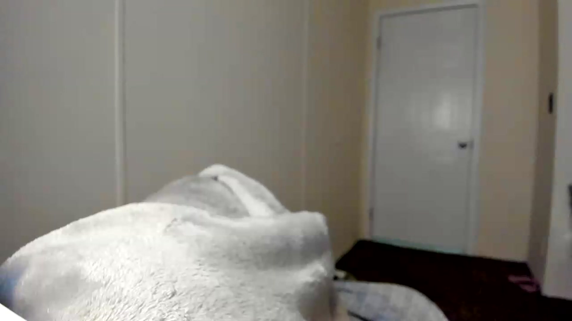 Gallery image thumbnail from Soraya__'s myfreecams stream on, 08/17/2026, 20:02 image 14 of 20