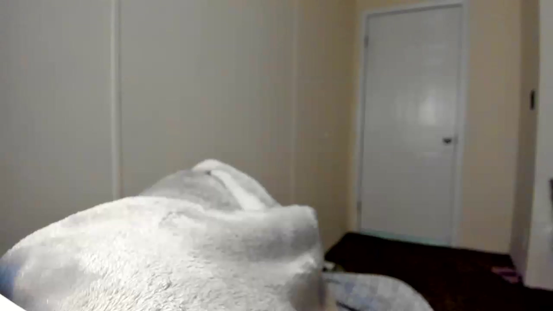 Gallery image thumbnail from Soraya__'s myfreecams stream on, 08/17/2026, 20:02 image 13 of 20