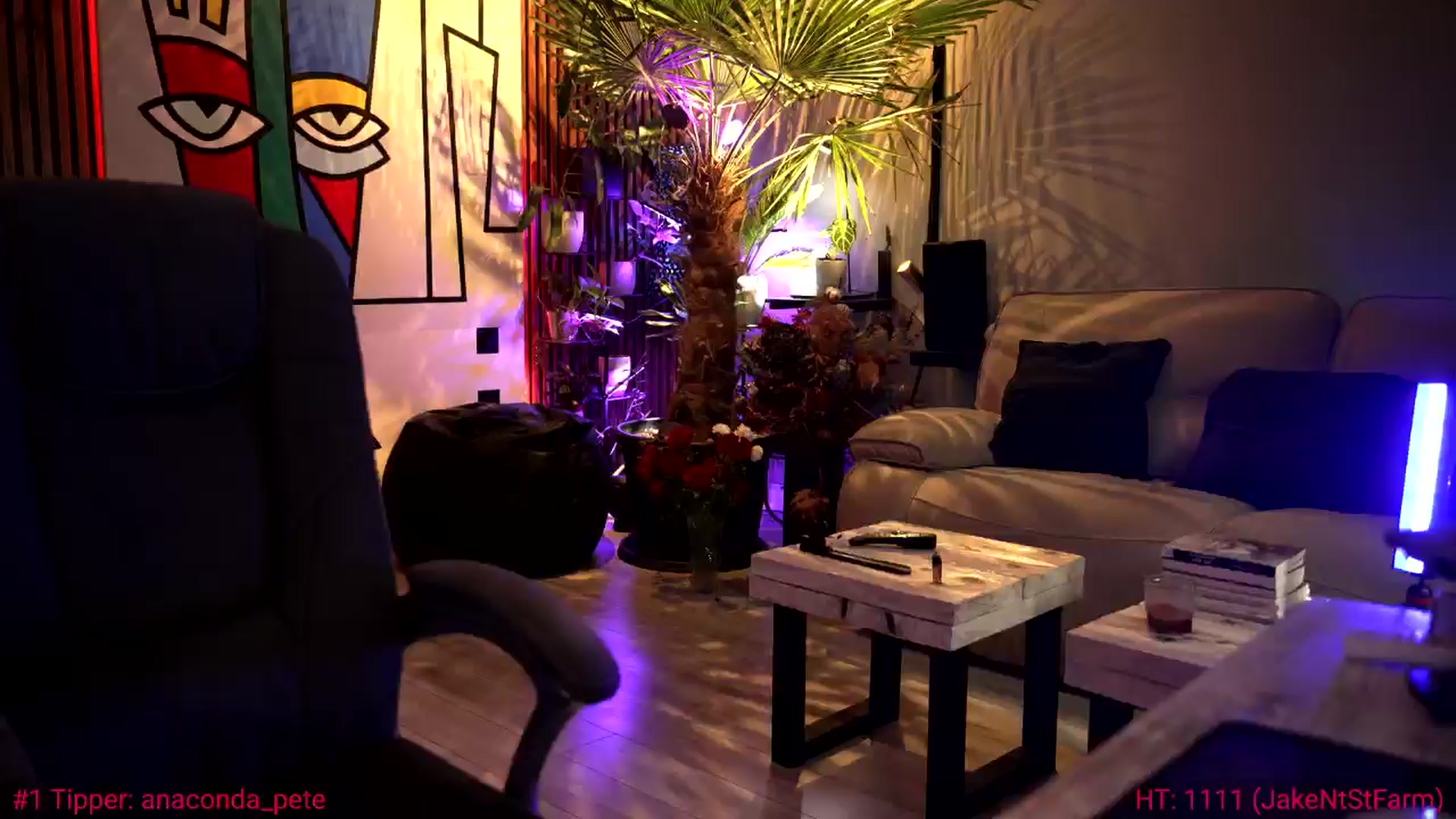 Gallery image thumbnail from SoulVibe's myfreecams stream on, 06/11/2024, 07:25 image 20 of 20