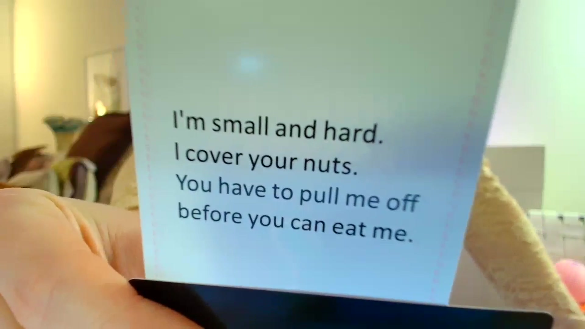 Gallery image thumbnail from SouthGirl's myfreecams stream on, 04/19/2026, 05:31 image 13 of 20