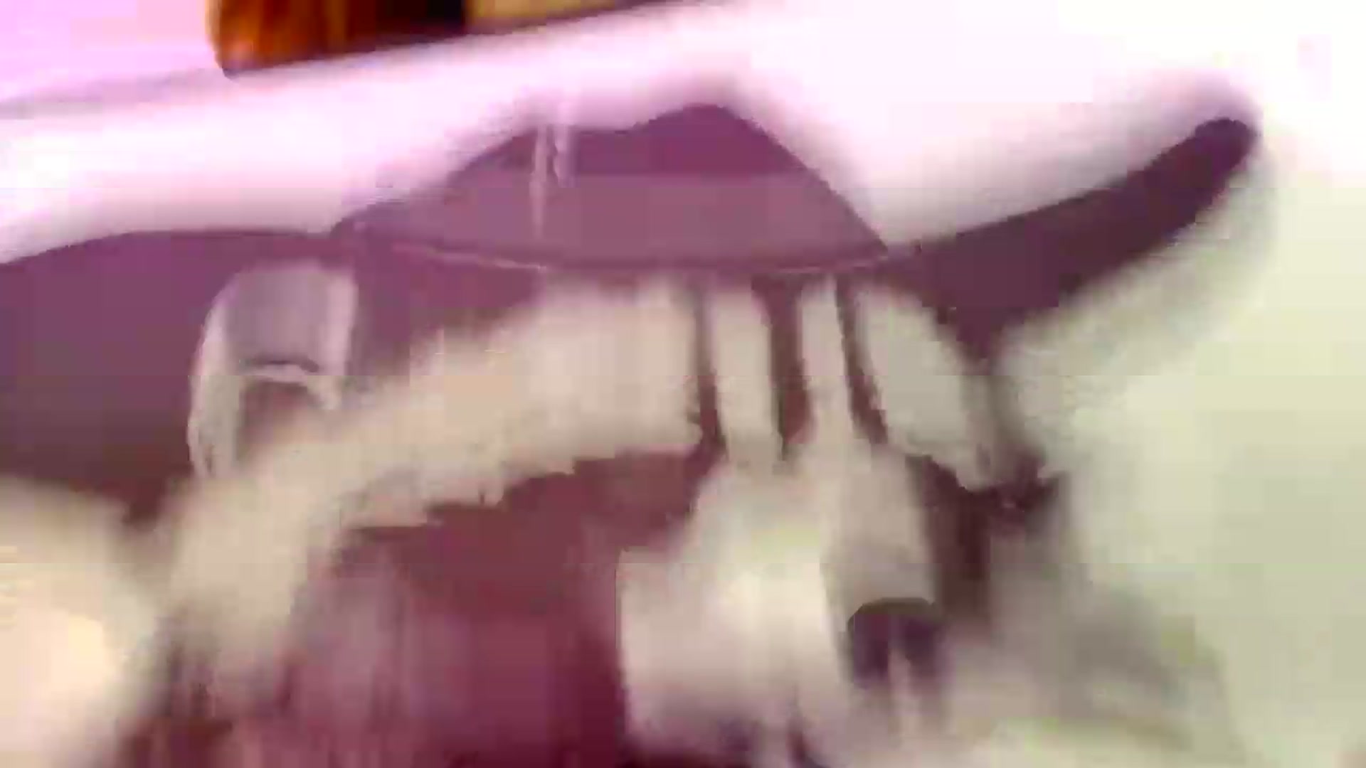 Gallery image thumbnail from SouthGirl's myfreecams stream on, 08/23/2026, 01:02 image 4 of 20