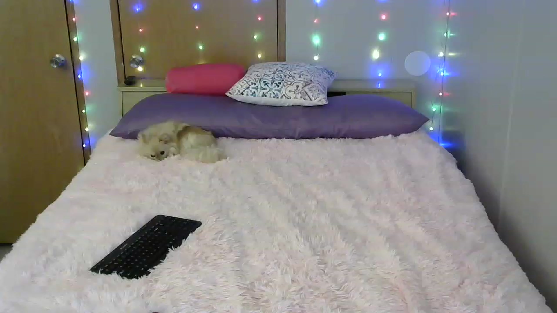 Gallery image thumbnail from SouthernNsexi's myfreecams stream on, 05/31/2023, 13:46 image 16 of 20