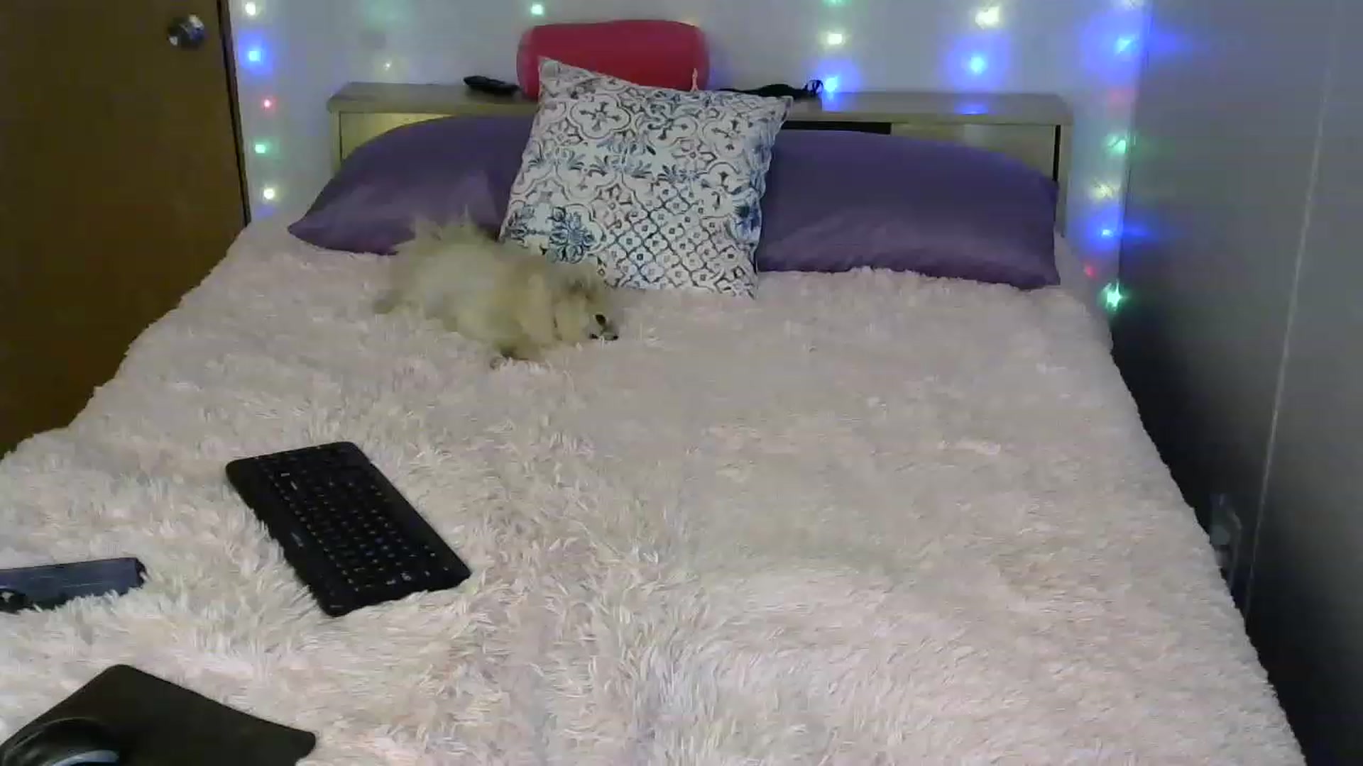 Gallery image thumbnail from SouthernNsexi's myfreecams stream on, 08/26/2023, 14:23 image 18 of 20
