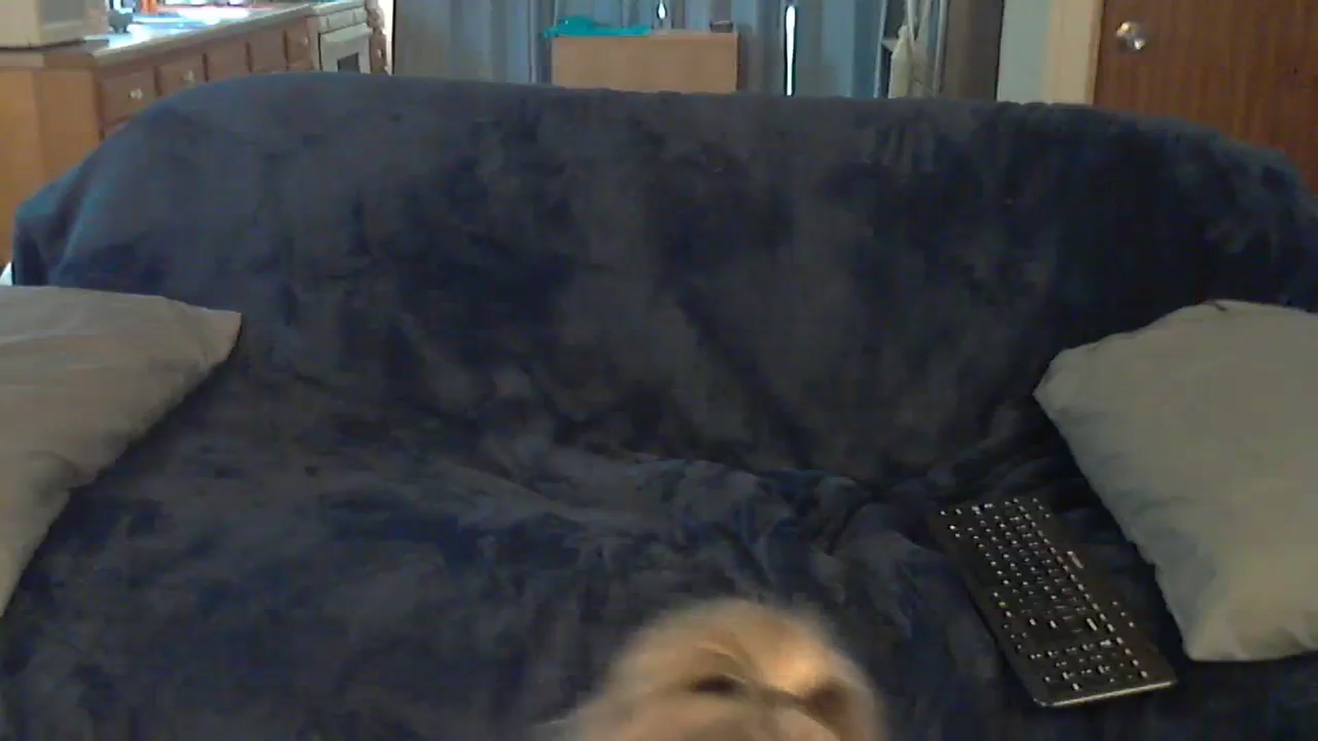 Gallery image thumbnail from SouthernNsexi's myfreecams stream on, 10/10/2023, 15:01 image 20 of 20