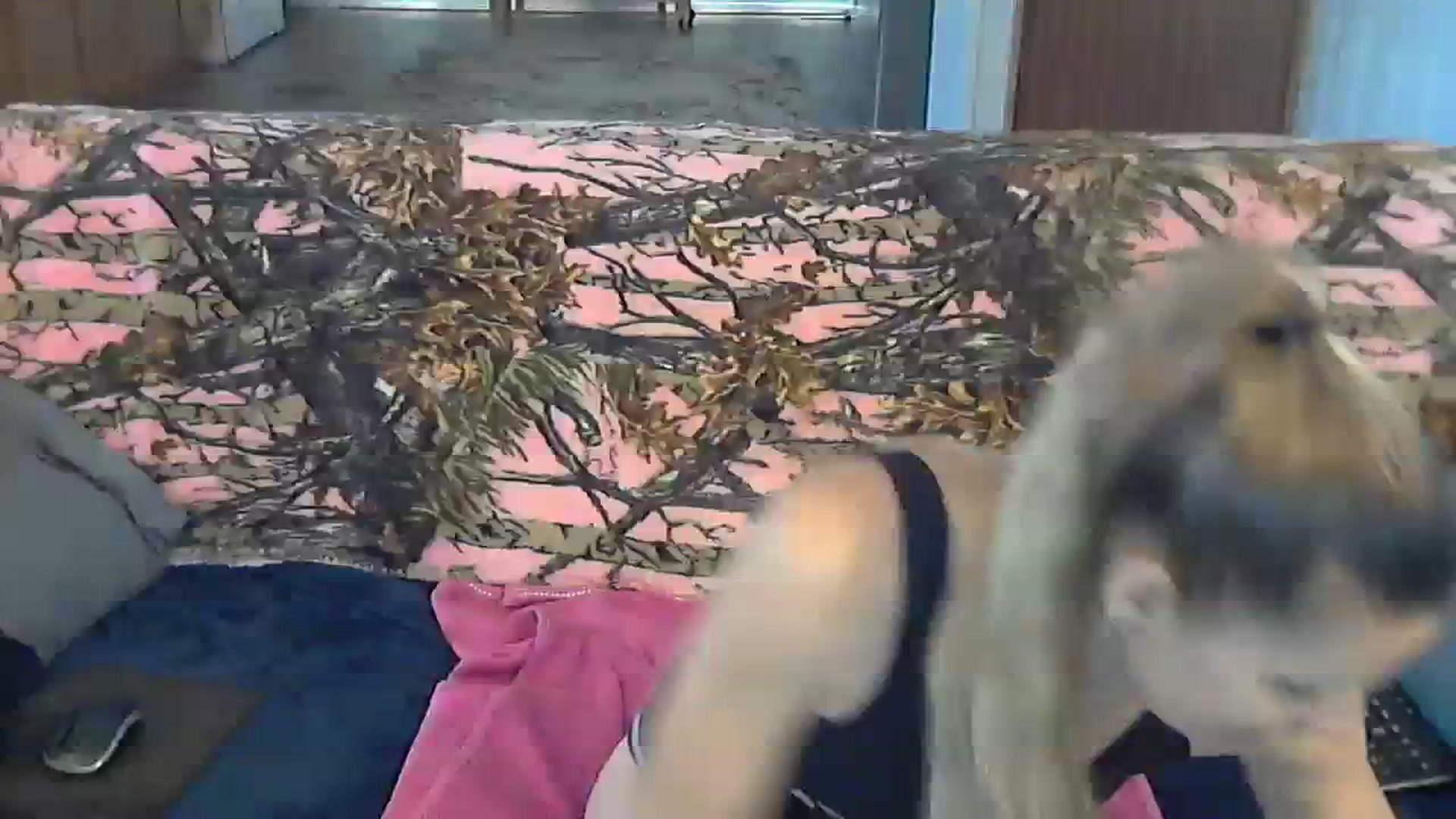 Gallery image thumbnail from SouthernNsexi's myfreecams stream on, 11/18/2023, 15:40 image 16 of 20