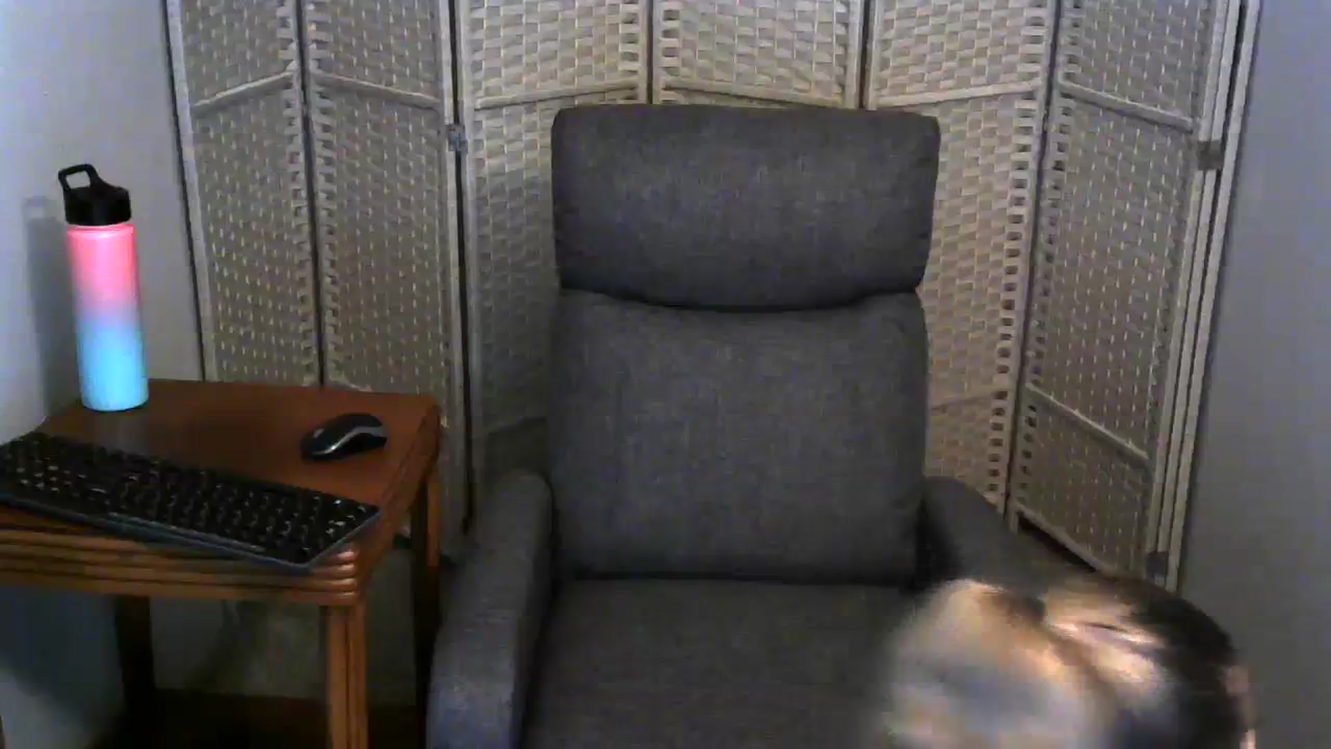 Gallery image thumbnail from SouthernNsexi's myfreecams stream on, 11/20/2023, 02:01 image 19 of 20