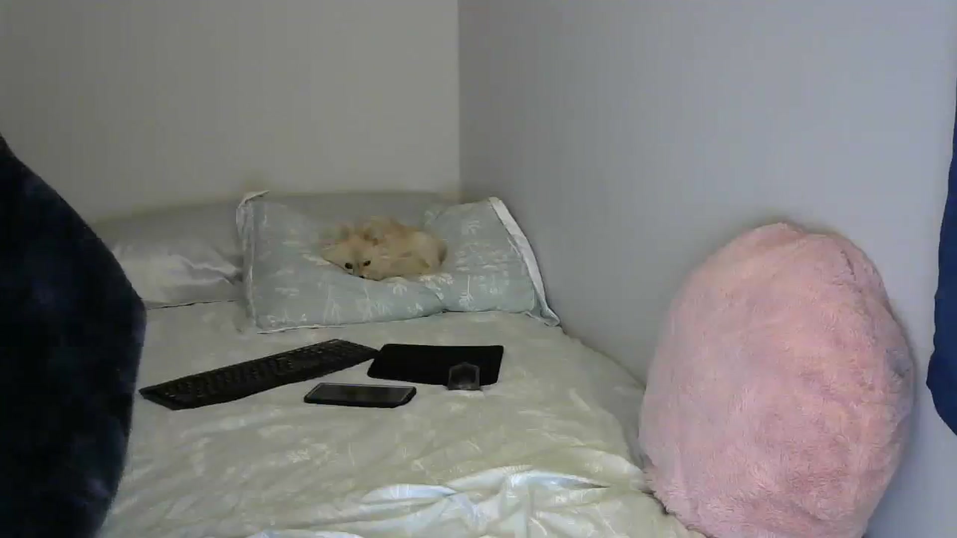 Gallery image thumbnail from SouthernNsexi's myfreecams stream on, 03/07/2024, 14:30 image 8 of 20