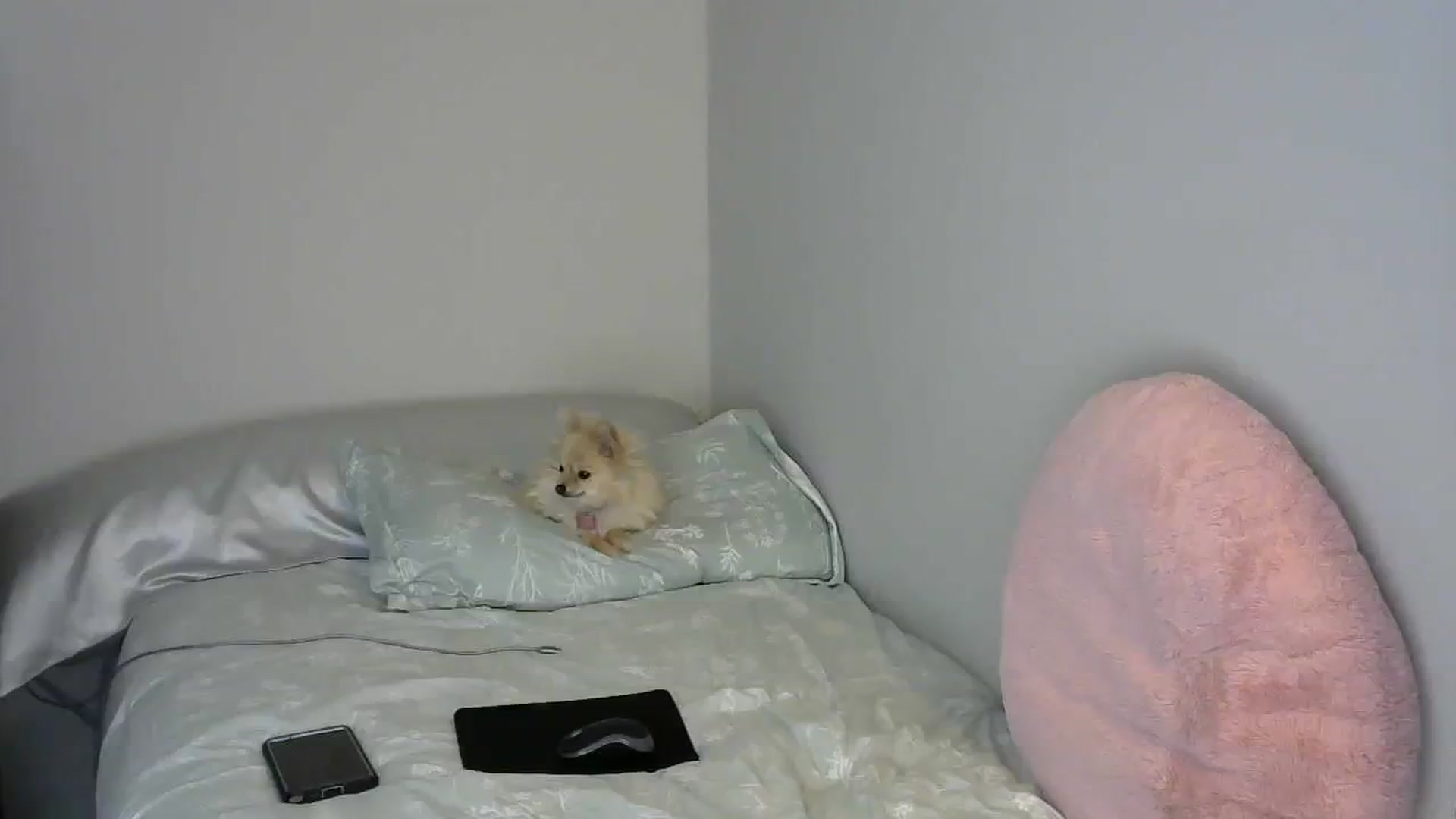 Gallery image thumbnail from SouthernNsexi's myfreecams stream on, 03/26/2024, 14:36 image 8 of 20