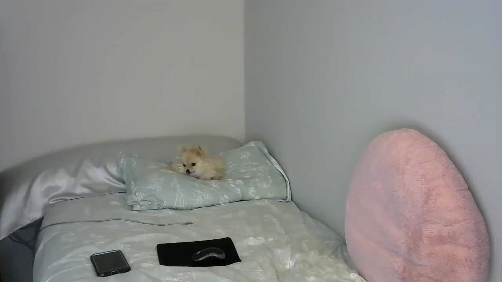 Gallery image thumbnail from SouthernNsexi's myfreecams stream on, 03/26/2024, 14:36 image 6 of 20