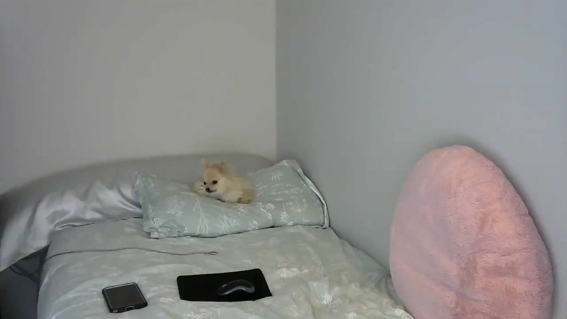 Gallery image thumbnail from SouthernNsexi's myfreecams stream on, 03/26/2024, 14:36 image 5 of 20