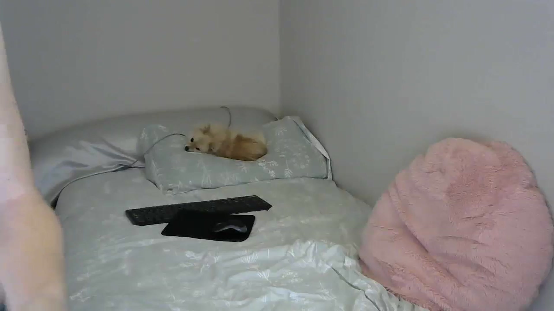 Gallery image thumbnail from SouthernNsexi's myfreecams stream on, 03/29/2024, 13:30 image 9 of 20