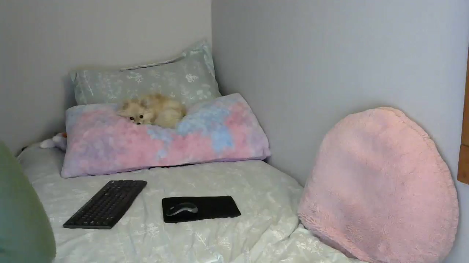 Gallery image thumbnail from SouthernNsexi's myfreecams stream on, 05/03/2024, 12:50 image 15 of 20