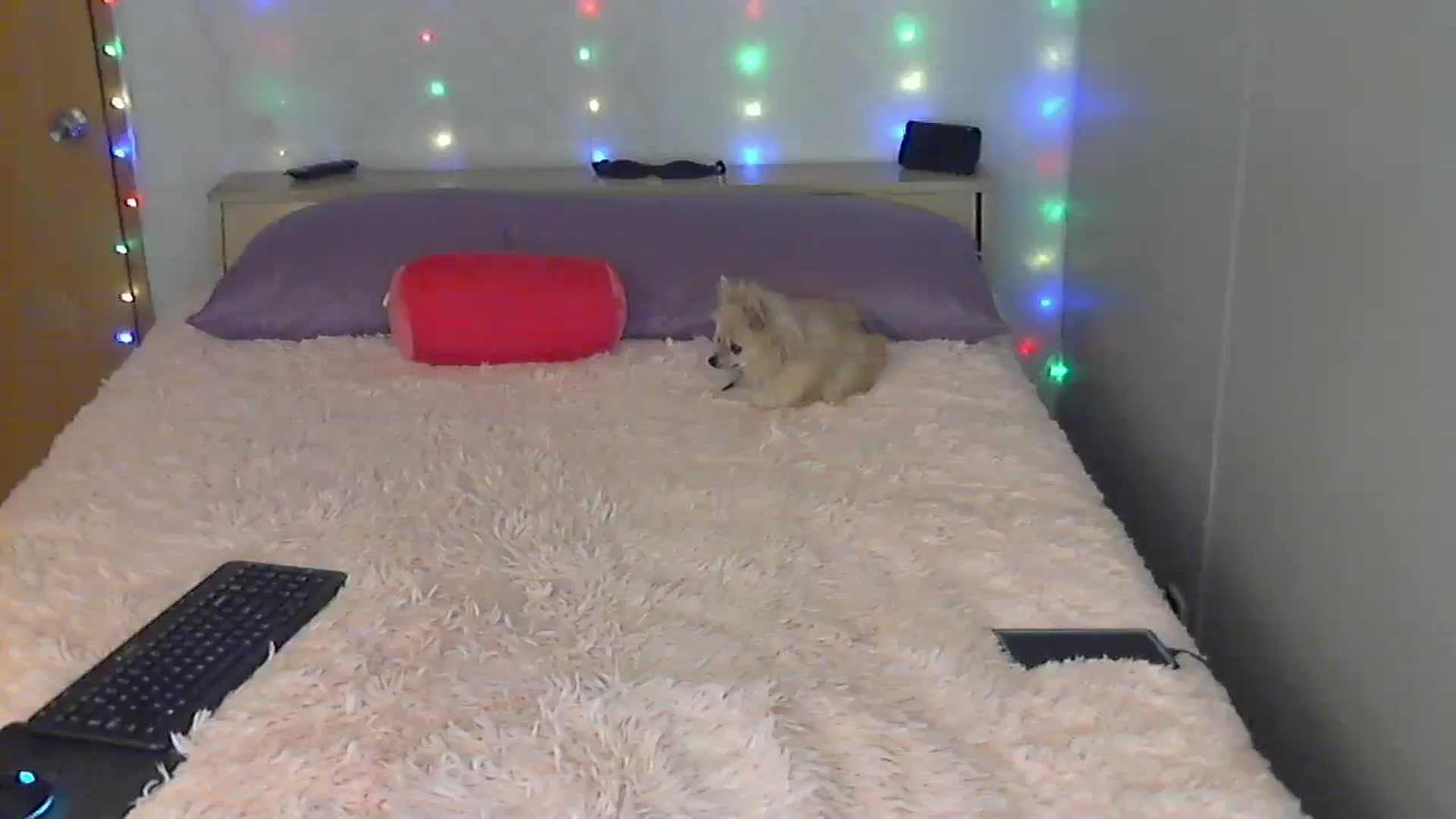 Gallery image thumbnail from SouthernNsexi's myfreecams stream on, 05/12/2024, 13:05 image 9 of 20