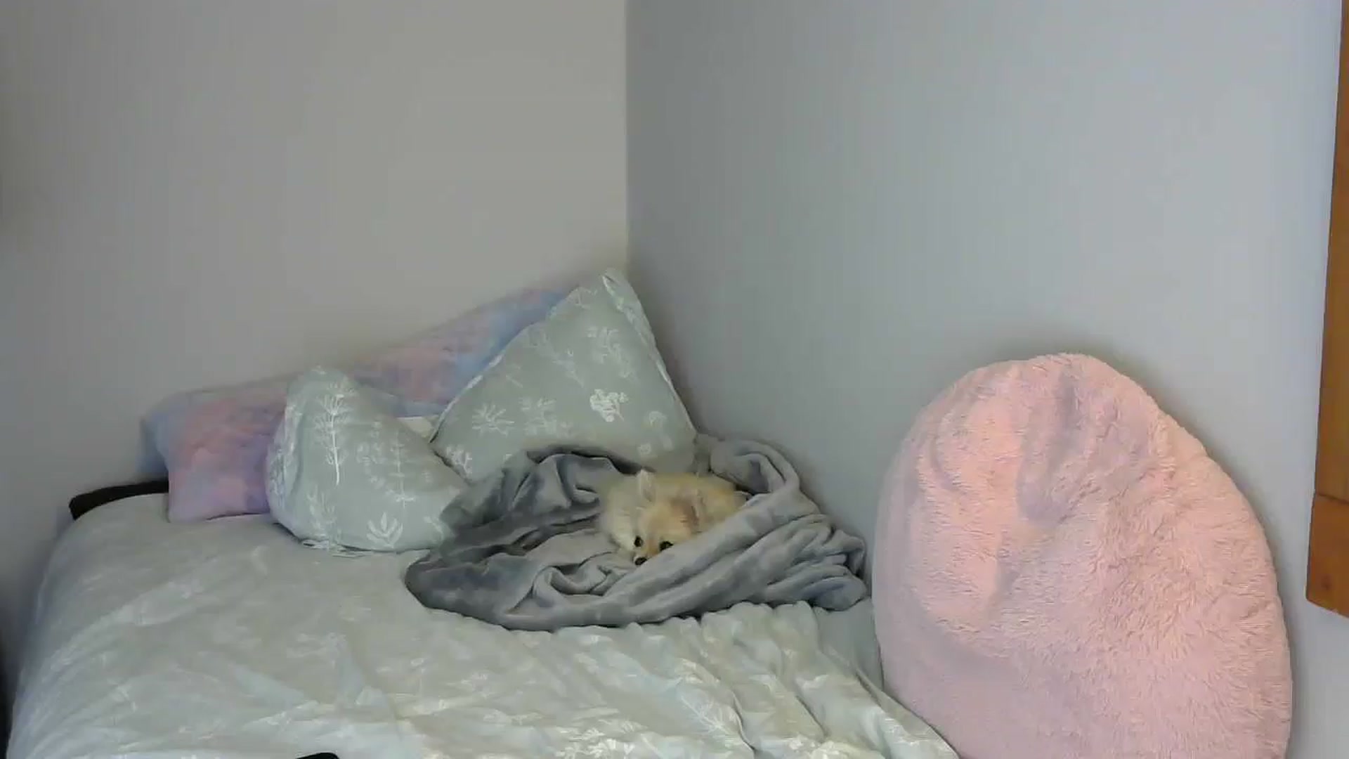 Gallery image thumbnail from SouthernNsexi's myfreecams stream on, 06/12/2024, 14:27 image 18 of 20