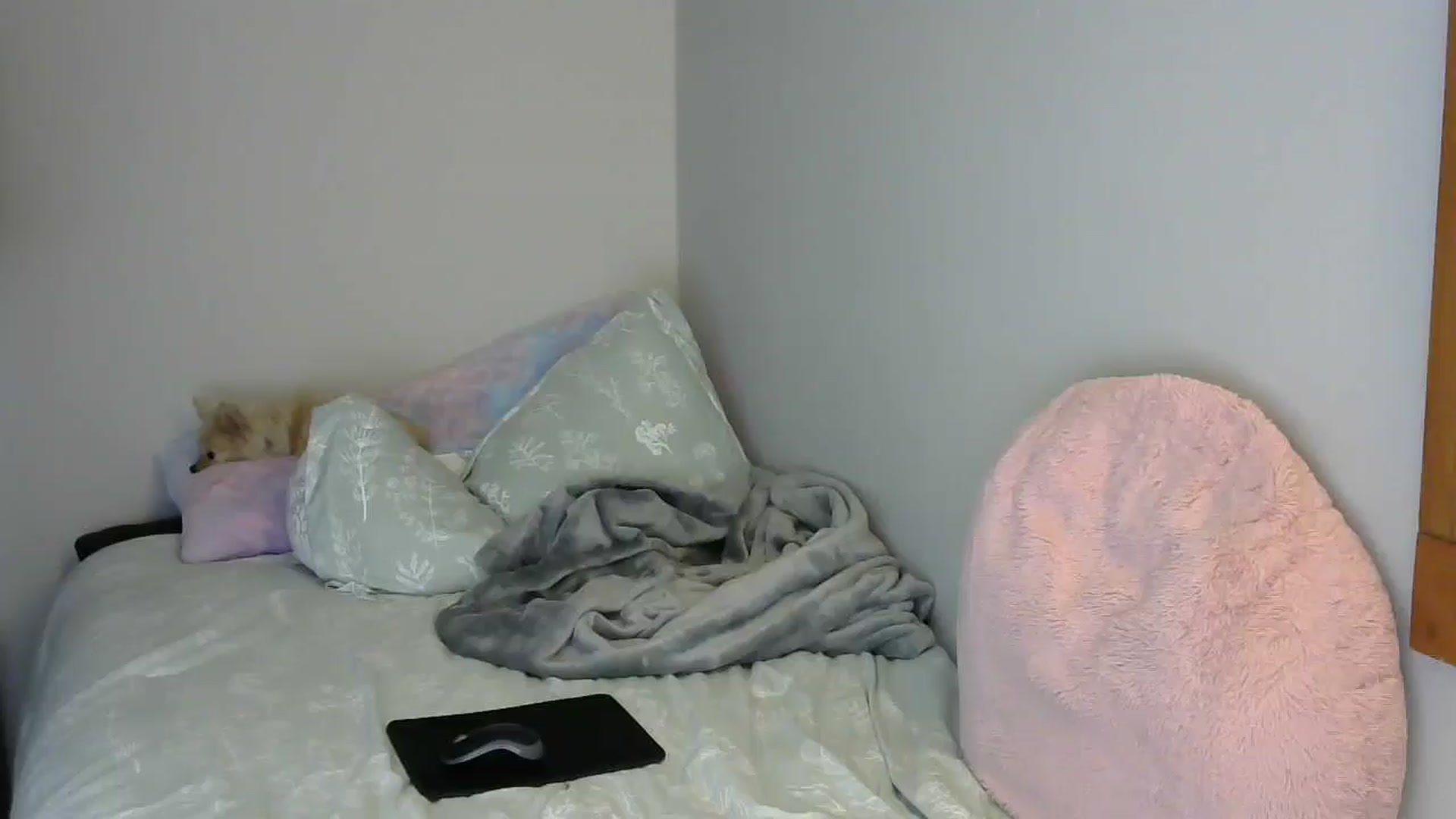 Gallery image thumbnail from SouthernNsexi's myfreecams stream on, 06/12/2024, 14:27 image 16 of 20