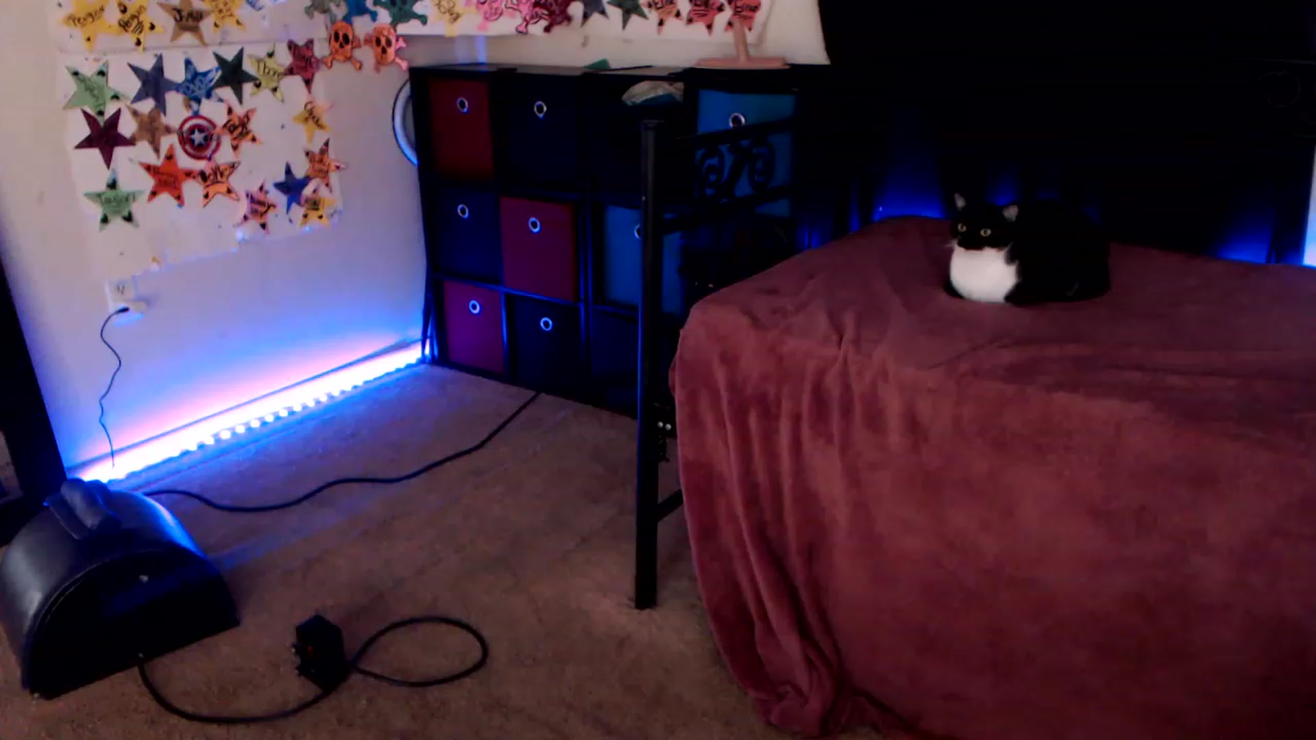 Gallery image thumbnail from SouthernSkye's myfreecams stream on, 01/12/2023, 08:06 image 1 of 20