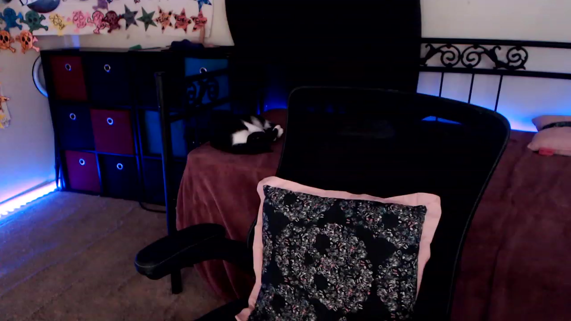 Gallery image thumbnail from SouthernSkye's myfreecams stream on, 01/23/2023, 07:58 image 9 of 20