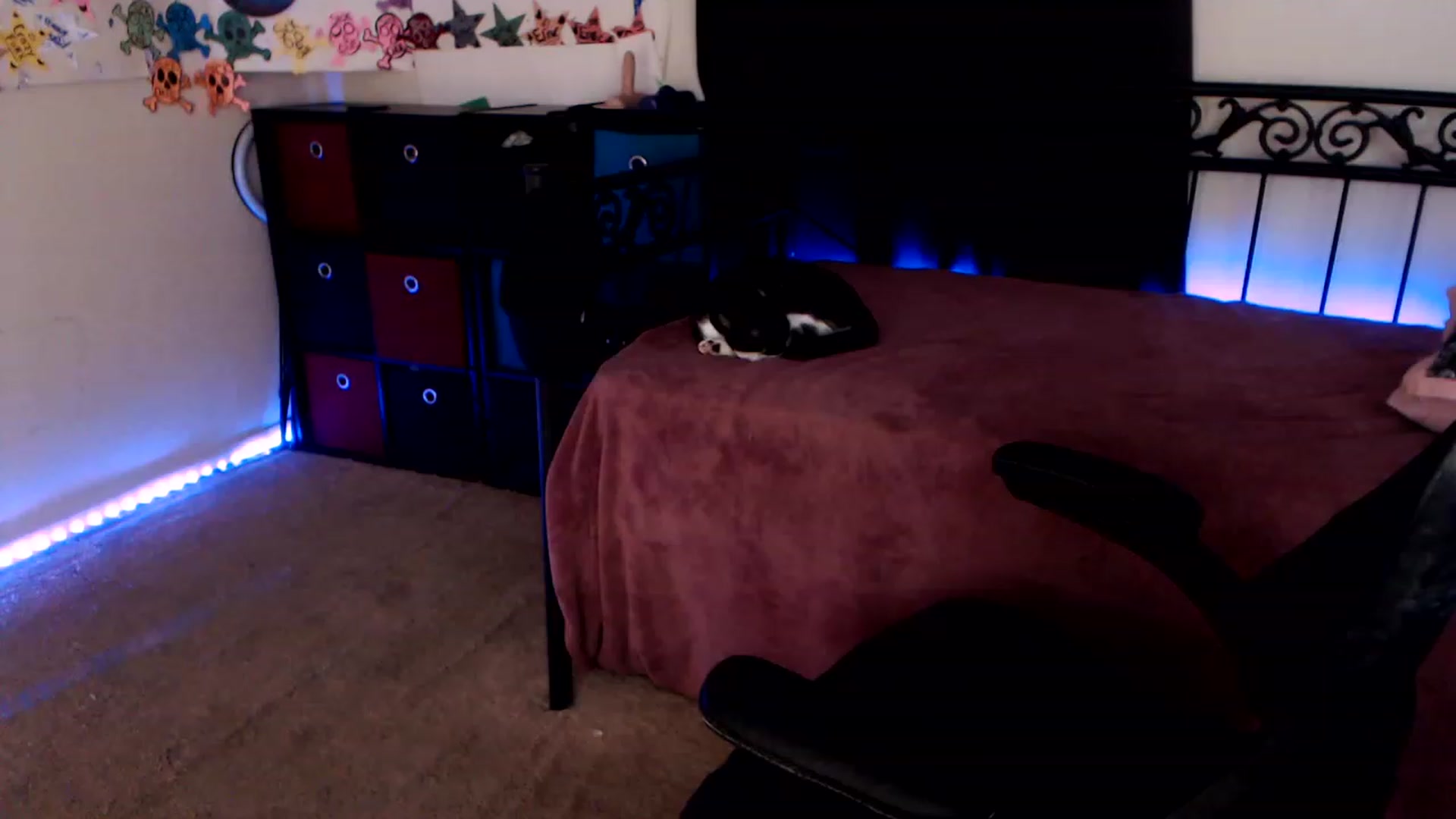 Gallery image thumbnail from SouthernSkye's myfreecams stream on, 01/29/2023, 08:02 image 2 of 20