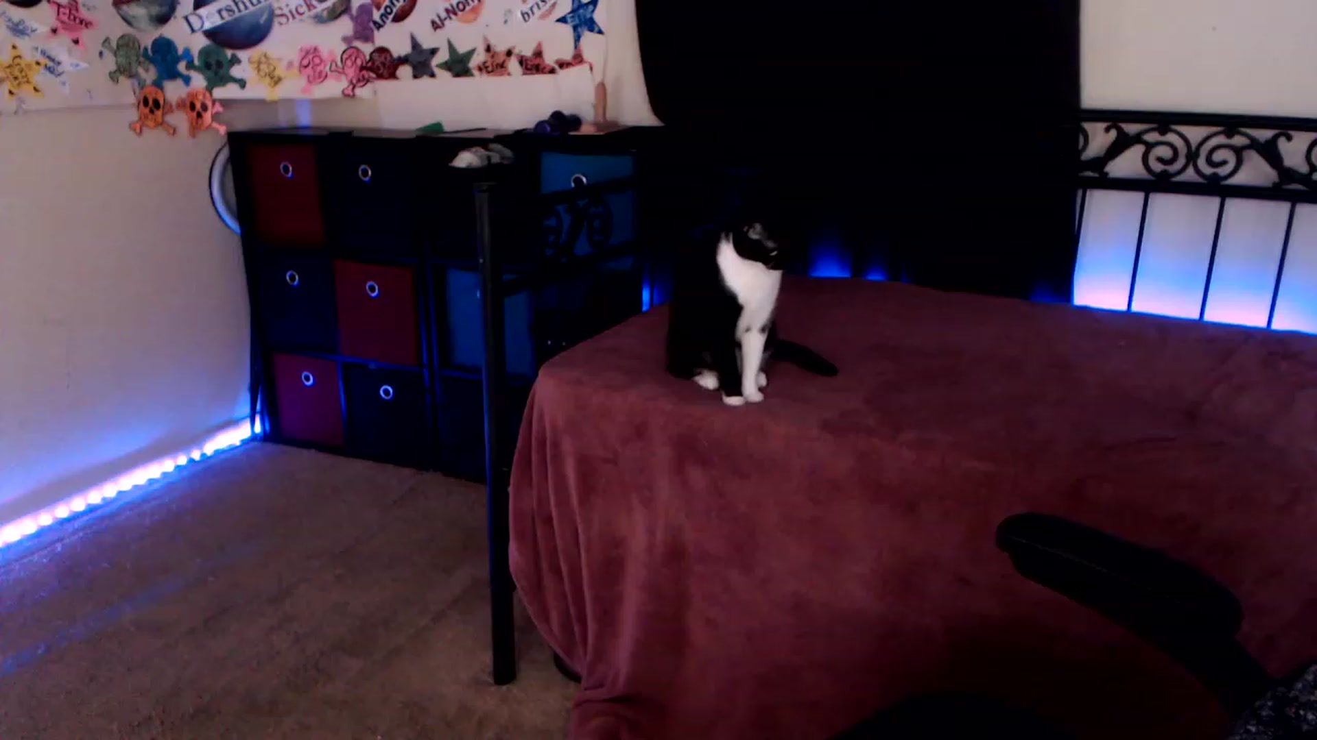 Gallery image thumbnail from SouthernSkye's myfreecams stream on, 01/30/2023, 06:42 image 7 of 20