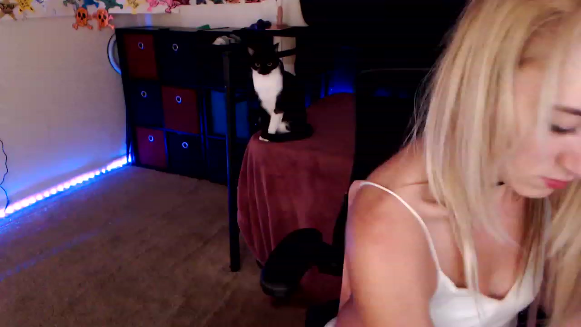 Gallery image thumbnail from SouthernSkye's myfreecams stream on, 01/30/2023, 06:42 image 16 of 20