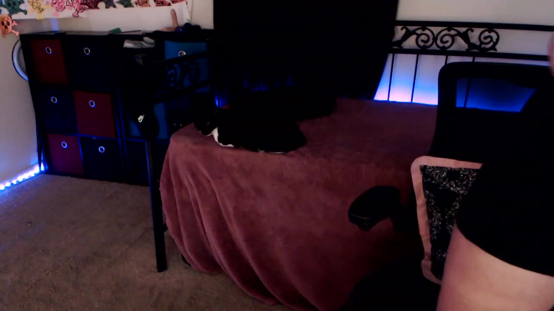 Gallery image thumbnail from SouthernSkye's myfreecams stream on, 01/31/2023, 08:11 image 17 of 20
