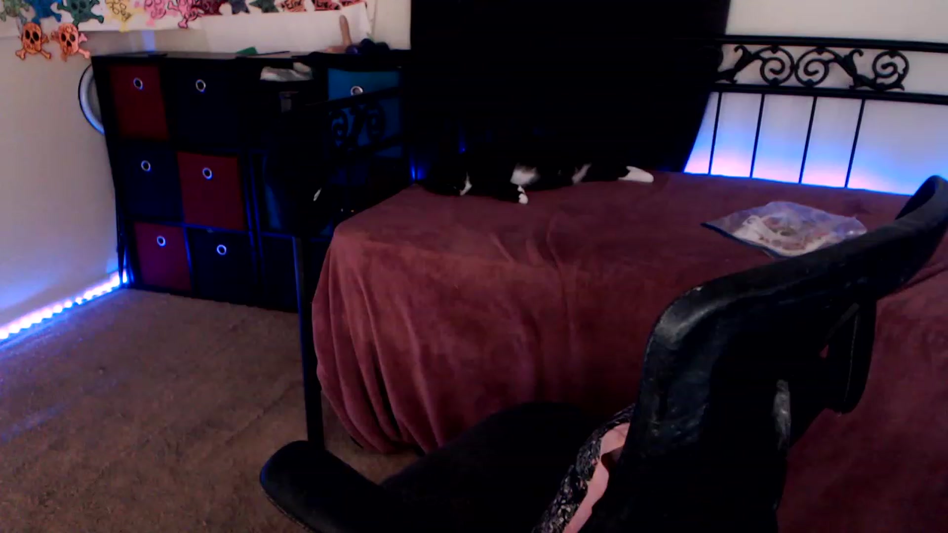 Gallery image thumbnail from SouthernSkye's myfreecams stream on, 01/31/2023, 08:11 image 7 of 20