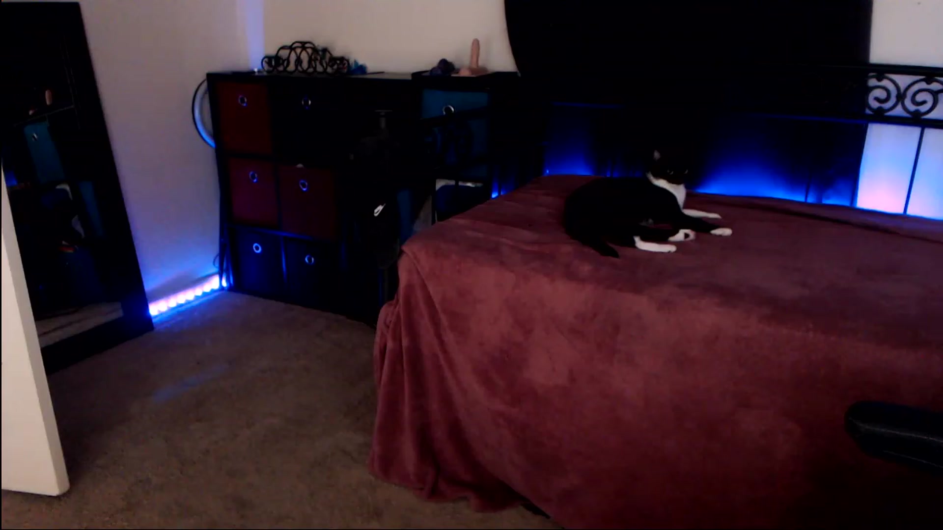 Gallery image thumbnail from SouthernSkye's myfreecams stream on, 05/04/2023, 06:22 image 15 of 20