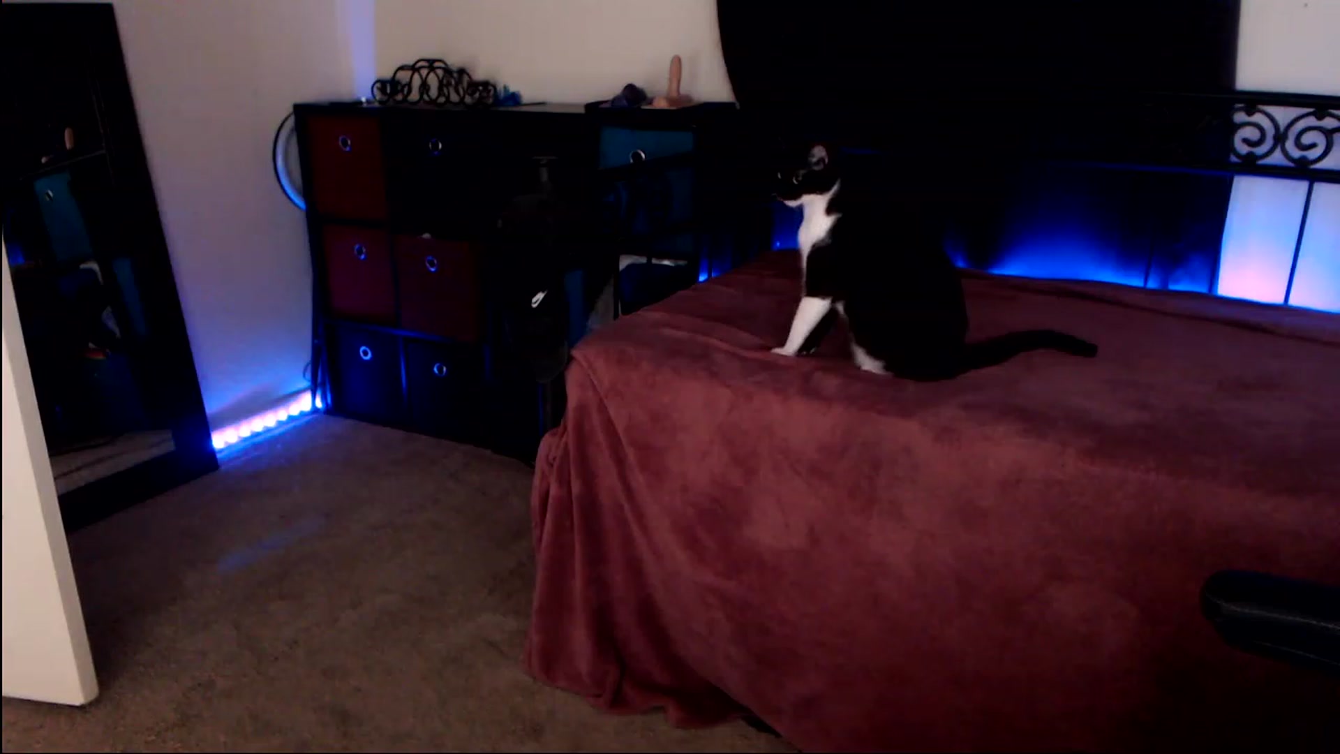 Gallery image thumbnail from SouthernSkye's myfreecams stream on, 05/04/2023, 06:22 image 14 of 20