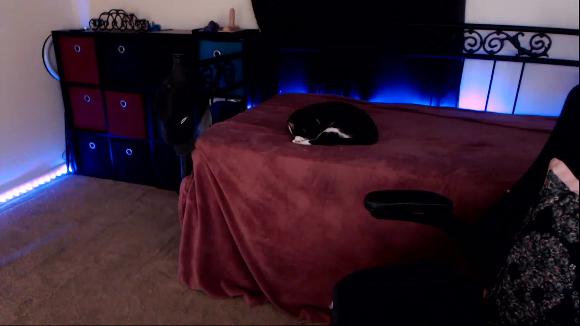Gallery image thumbnail from SouthernSkye's myfreecams stream on, 05/04/2023, 06:22 image 3 of 20
