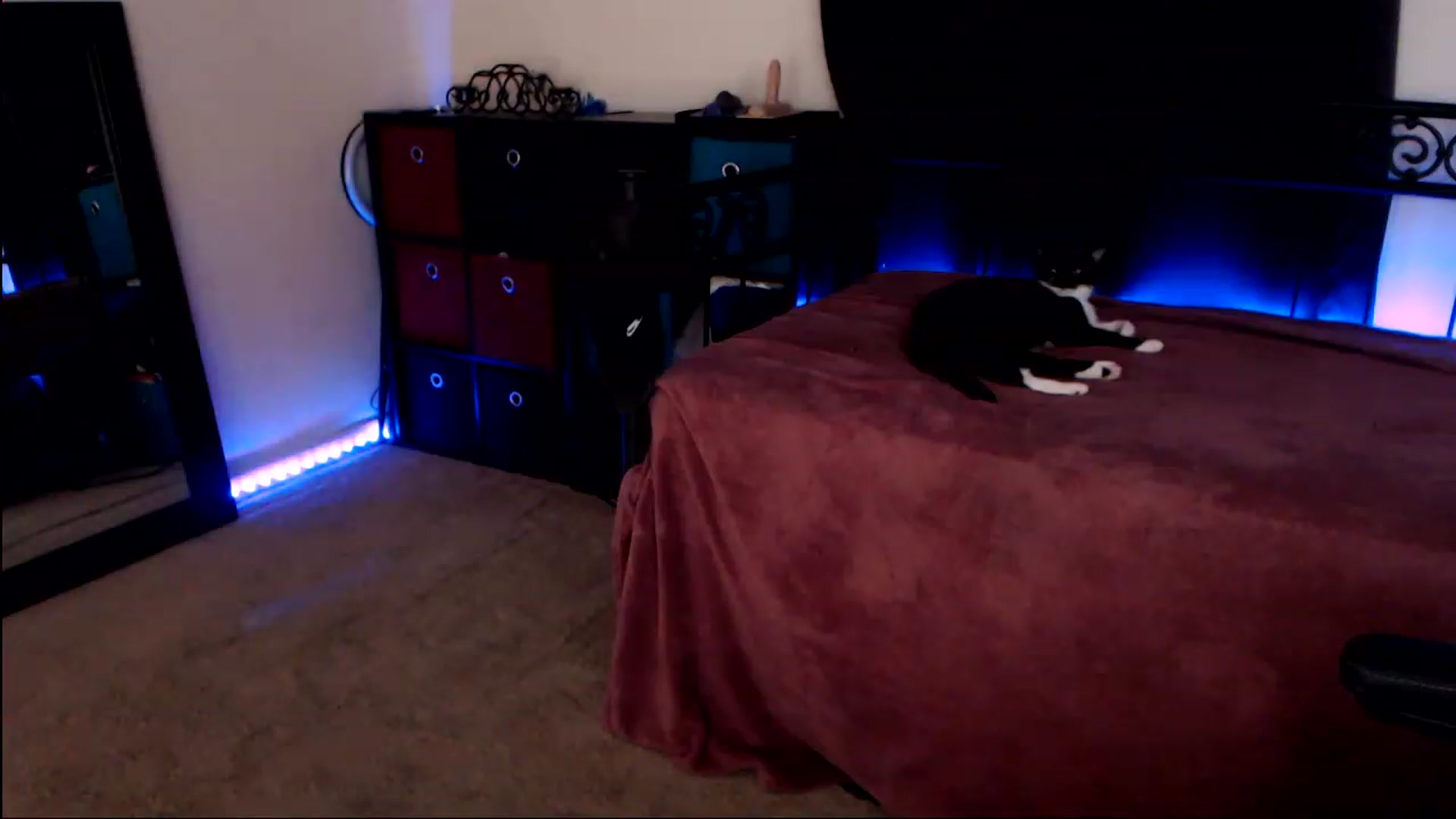 Gallery image thumbnail from SouthernSkye's myfreecams stream on, 05/04/2023, 06:22 image 16 of 20