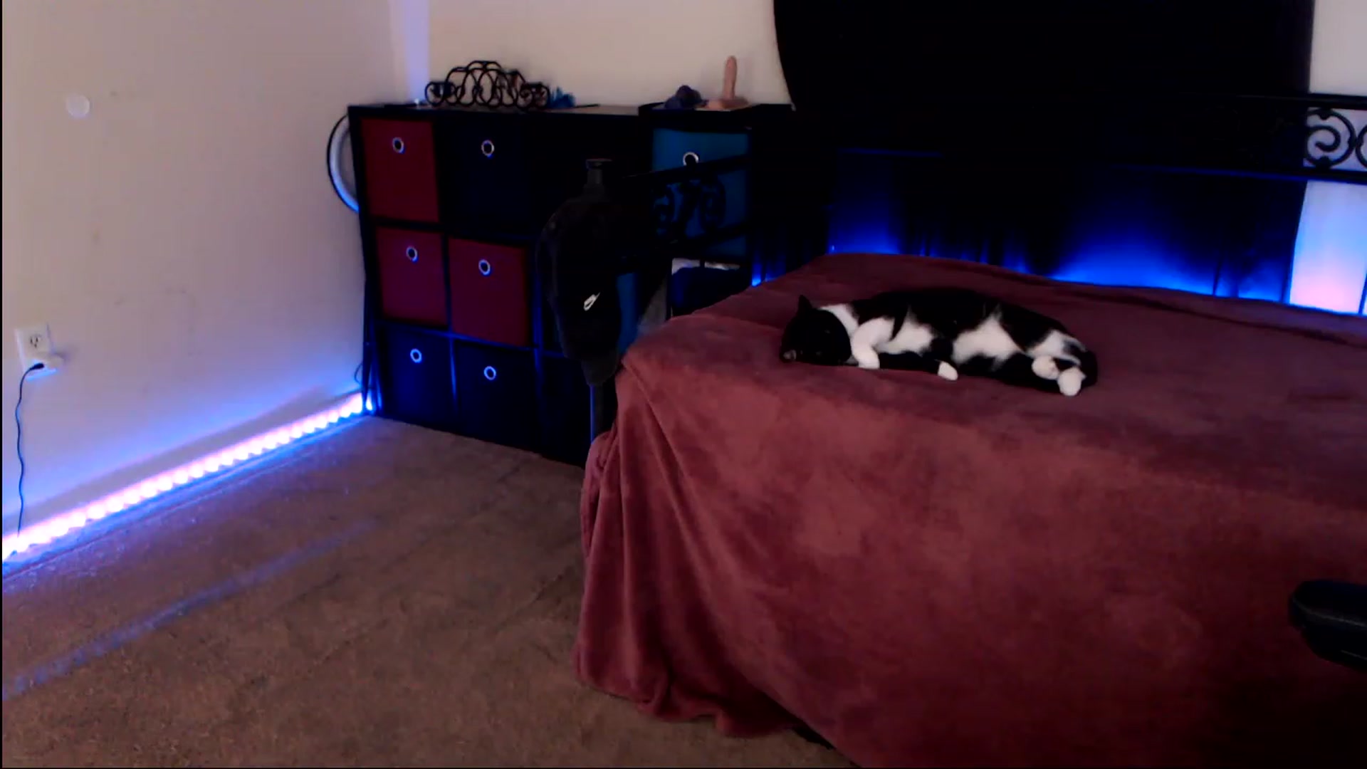 Gallery image thumbnail from SouthernSkye's myfreecams stream on, 05/04/2023, 06:22 image 12 of 20