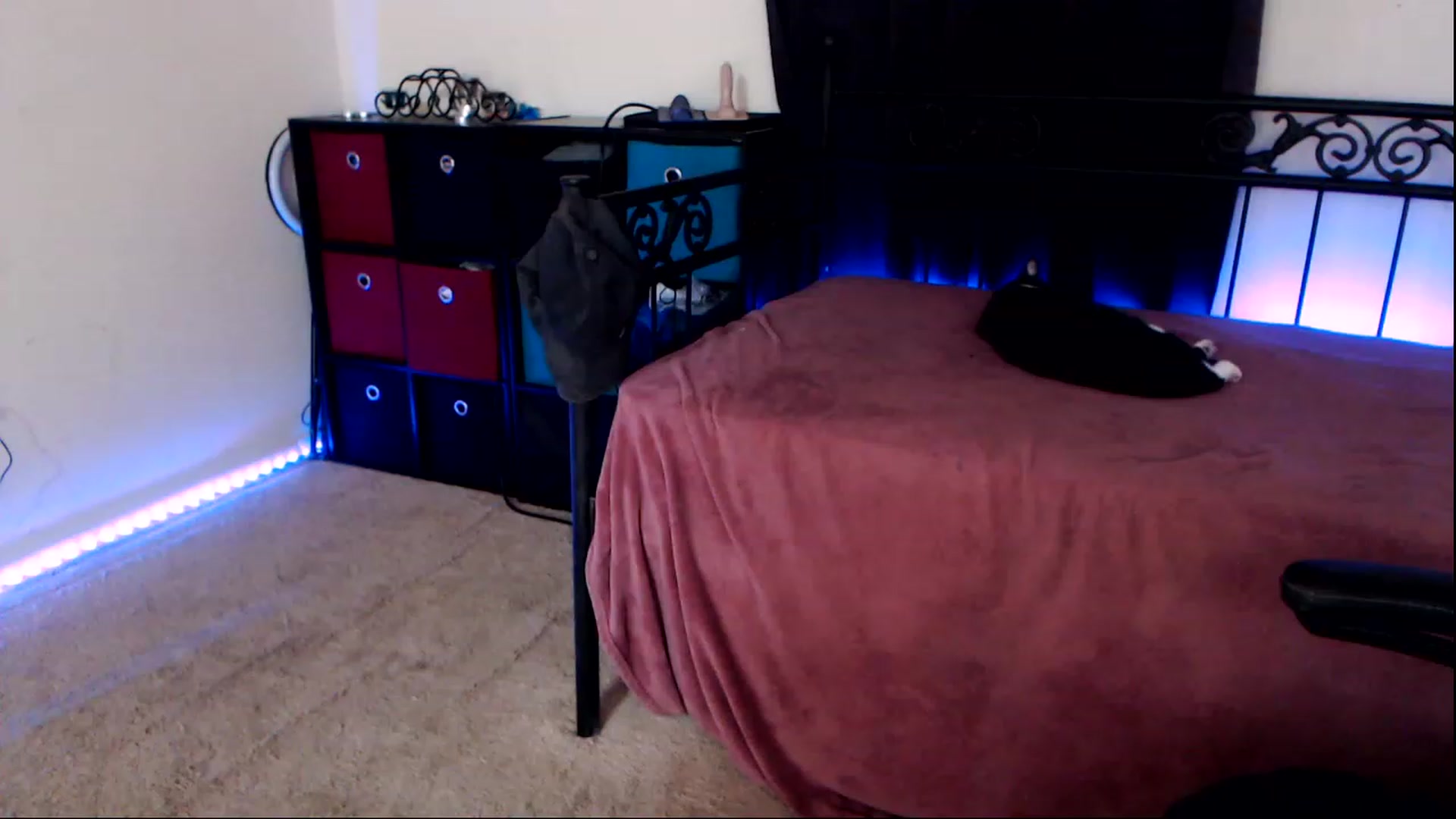 Gallery image thumbnail from SouthernSkye's myfreecams stream on, 05/08/2023, 07:37 image 2 of 20