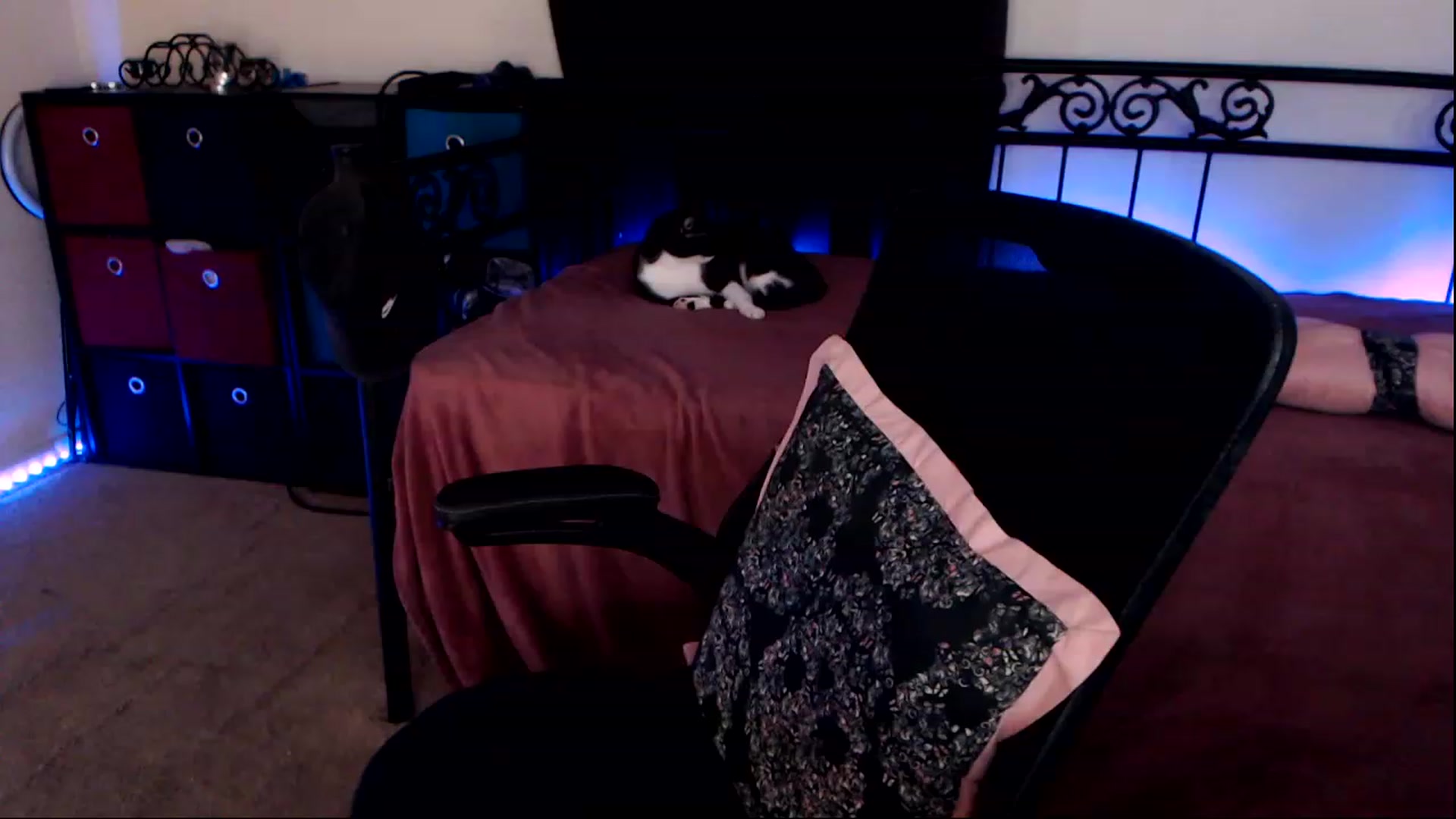 Gallery image thumbnail from SouthernSkye's myfreecams stream on, 05/09/2023, 07:07 image 2 of 20