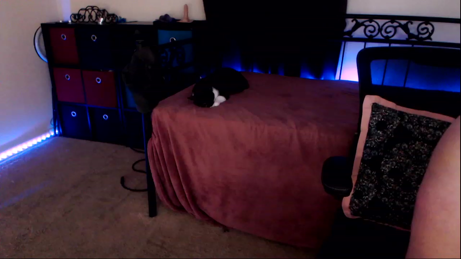 Gallery image thumbnail from SouthernSkye's myfreecams stream on, 05/11/2023, 06:07 image 4 of 20