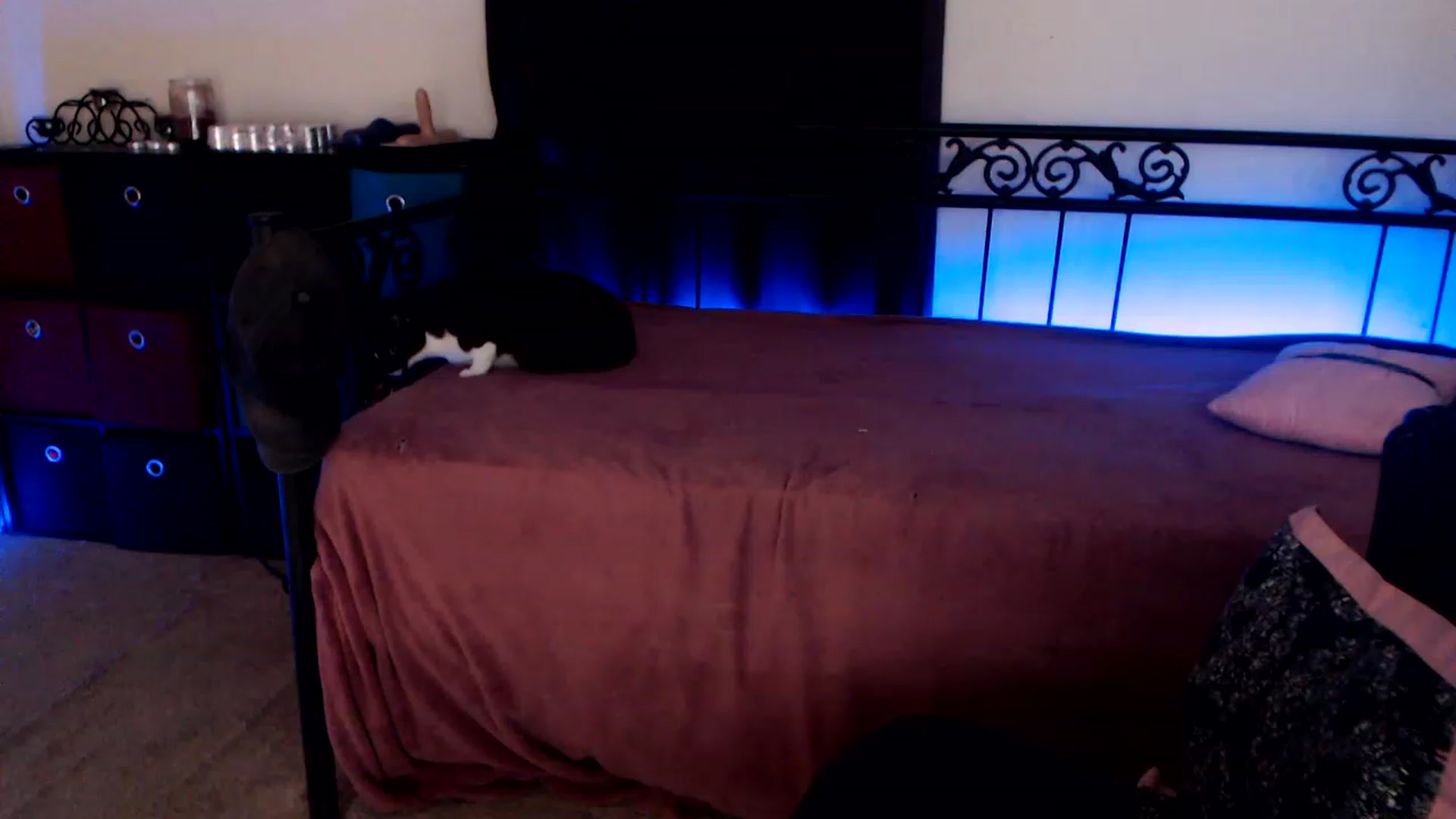 Gallery image thumbnail from SouthernSkye's myfreecams stream on, 07/28/2023, 04:47 image 12 of 20