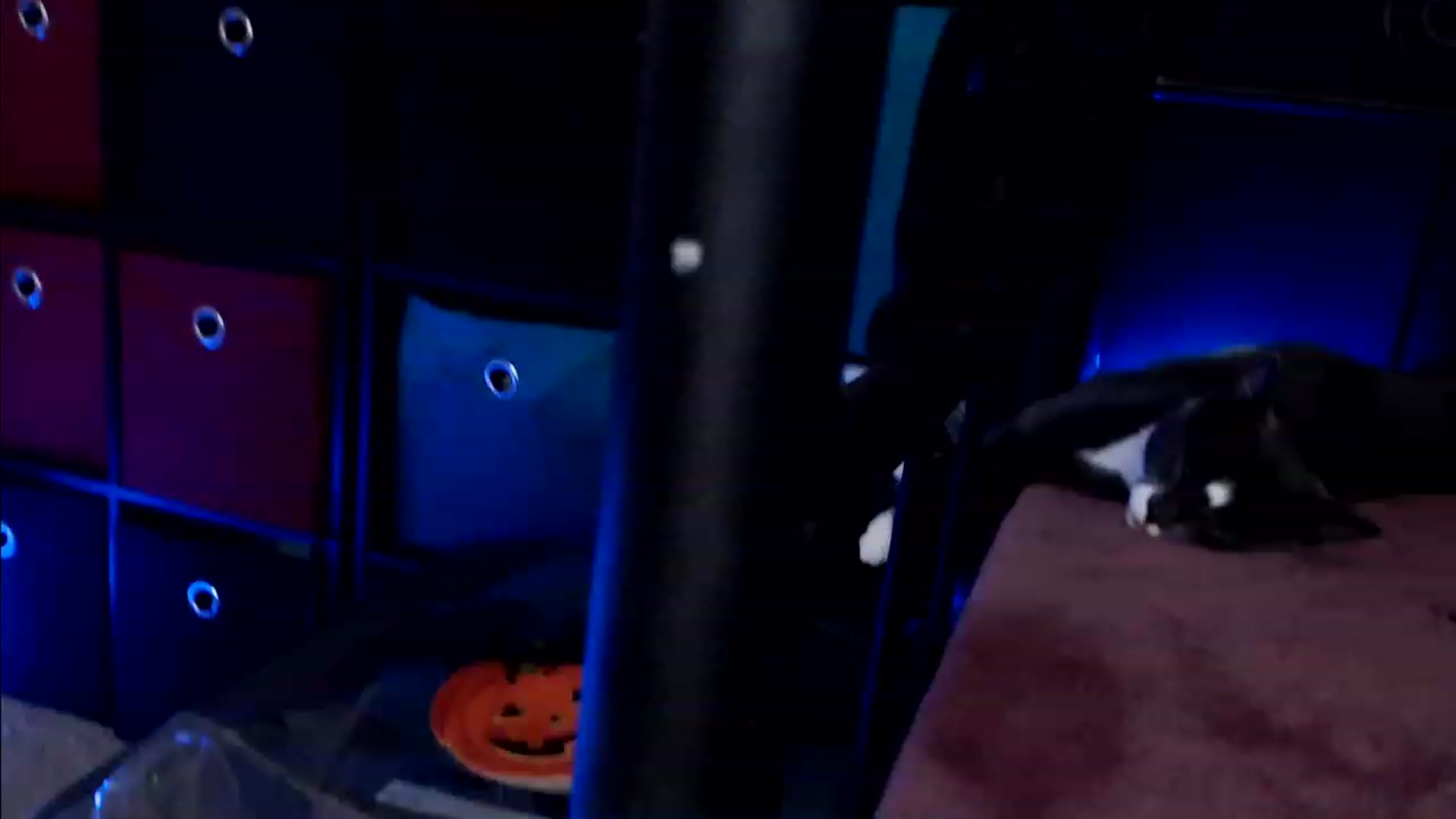 Gallery image thumbnail from SouthernSkye's myfreecams stream on, 10/14/2023, 08:57 image 12 of 20