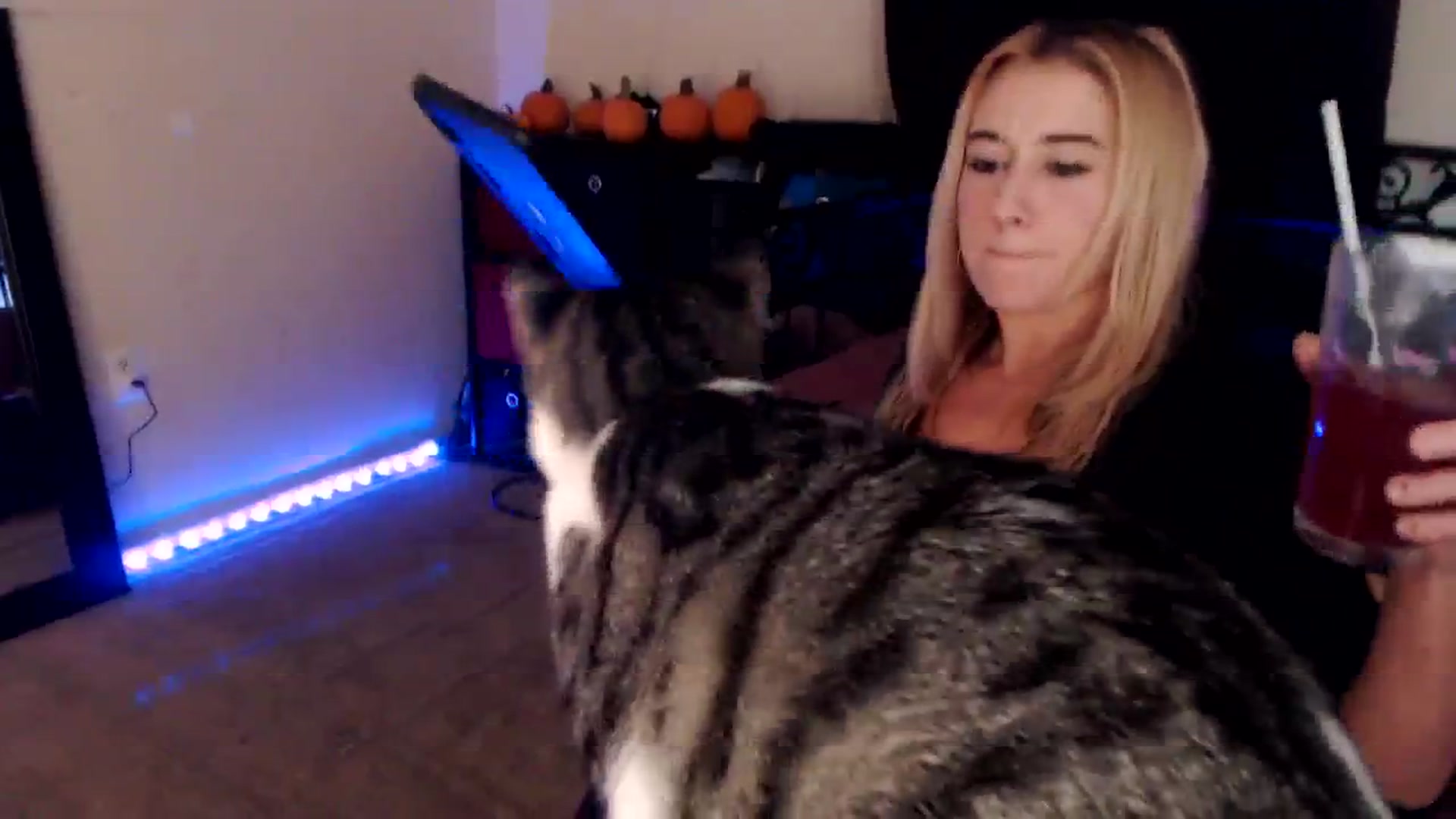 Gallery image thumbnail from SouthernSkye's myfreecams stream on, 11/15/2024, 08:13 image 12 of 20