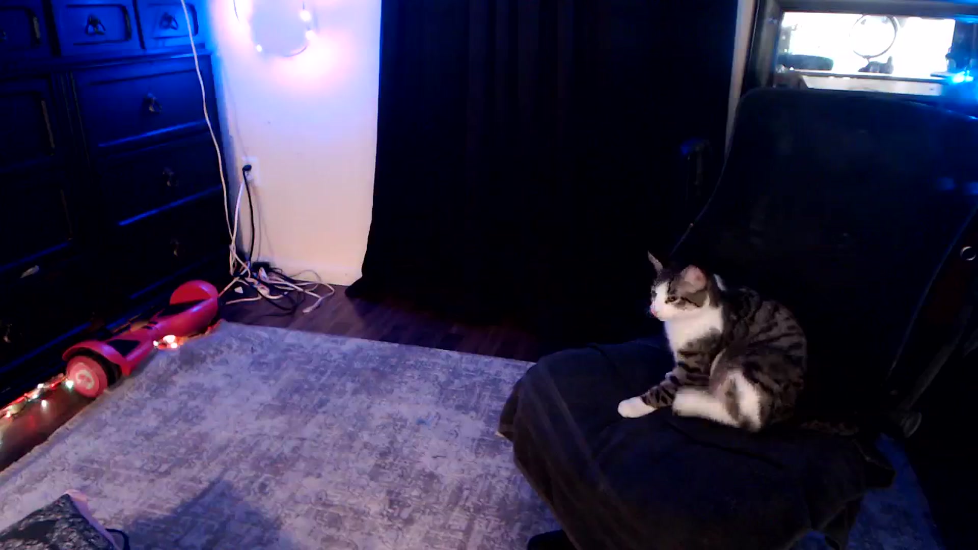Gallery image thumbnail from SouthernSkye's myfreecams stream on, 01/05/2025, 09:44 image 12 of 20