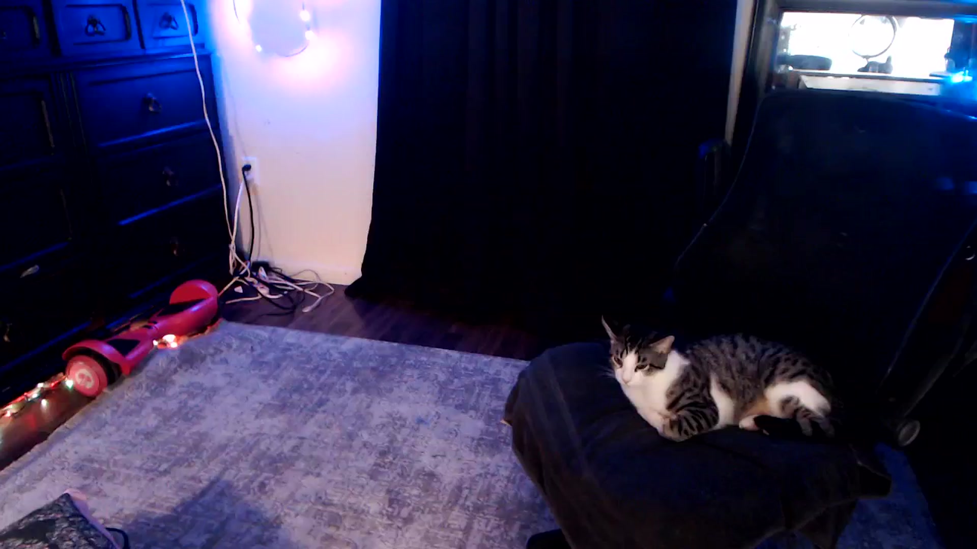 Gallery image thumbnail from SouthernSkye's myfreecams stream on, 01/05/2025, 09:44 image 16 of 20
