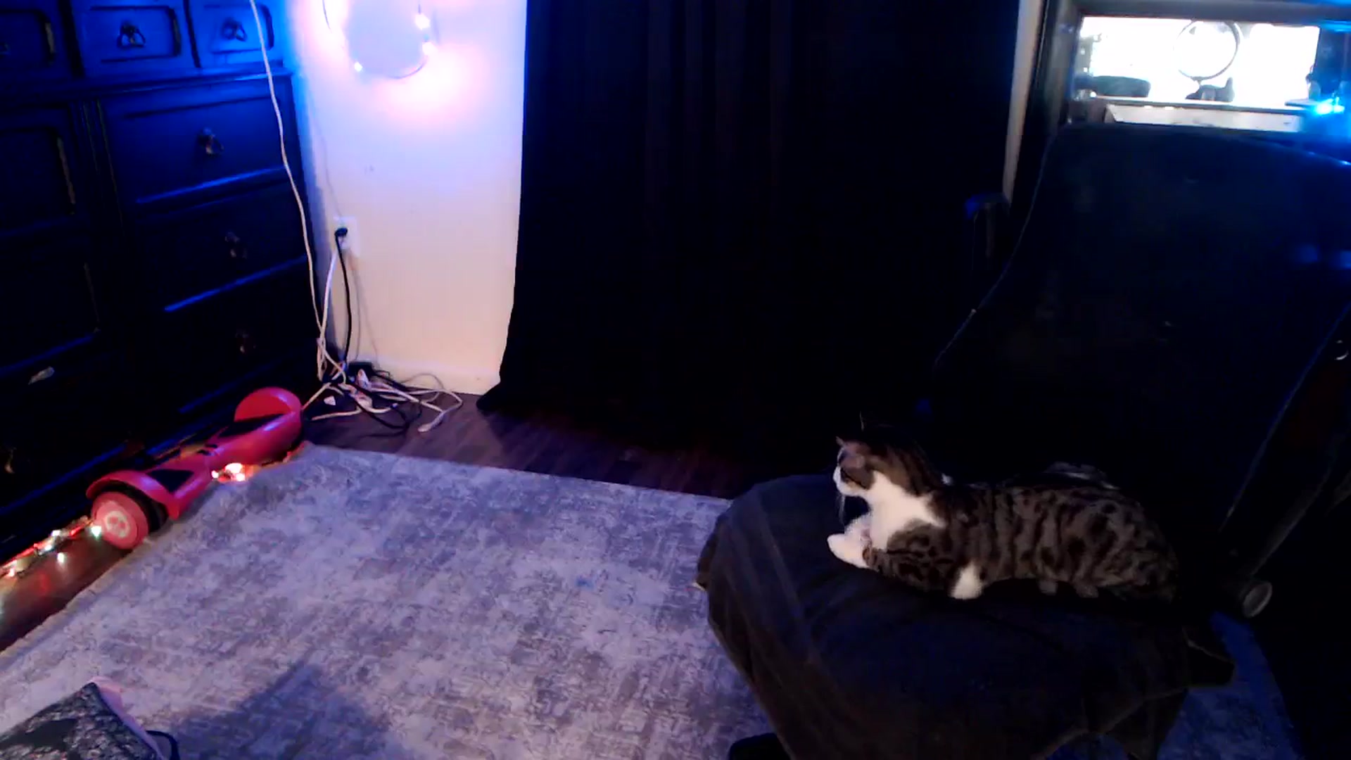 Gallery image thumbnail from SouthernSkye's myfreecams stream on, 01/05/2025, 09:44 image 13 of 20