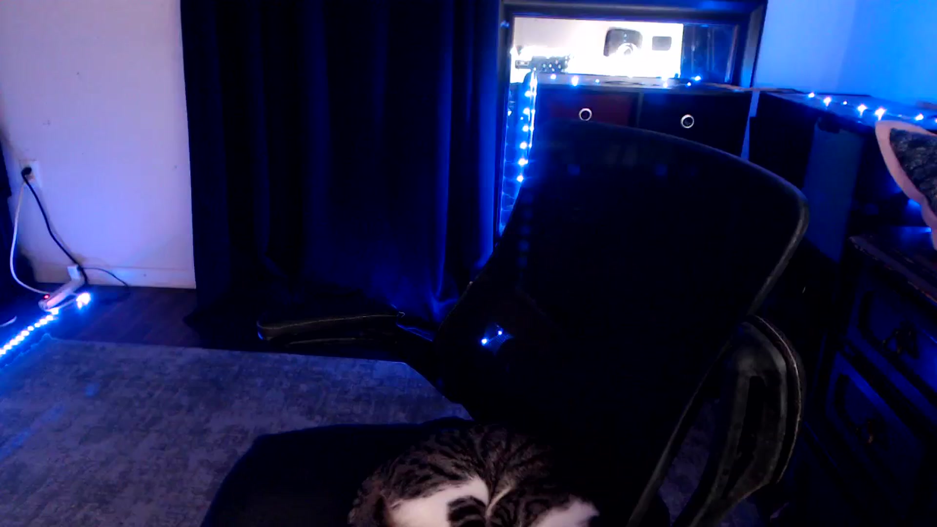 Gallery image thumbnail from SouthernSkye's myfreecams stream on, 02/20/2025, 06:27 image 10 of 20