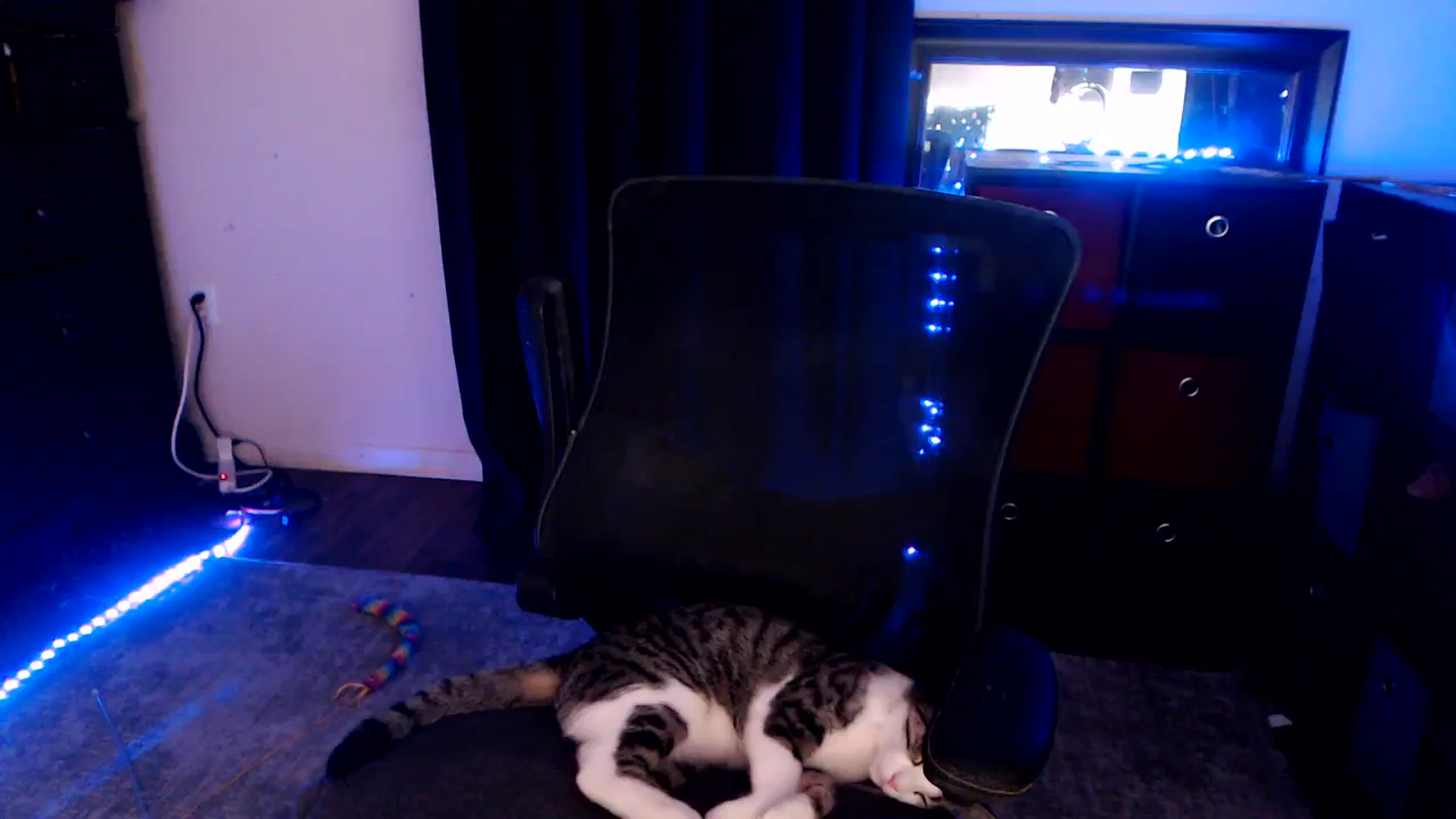 Gallery image thumbnail from SouthernSkye's myfreecams stream on, 02/28/2025, 07:46 image 20 of 20