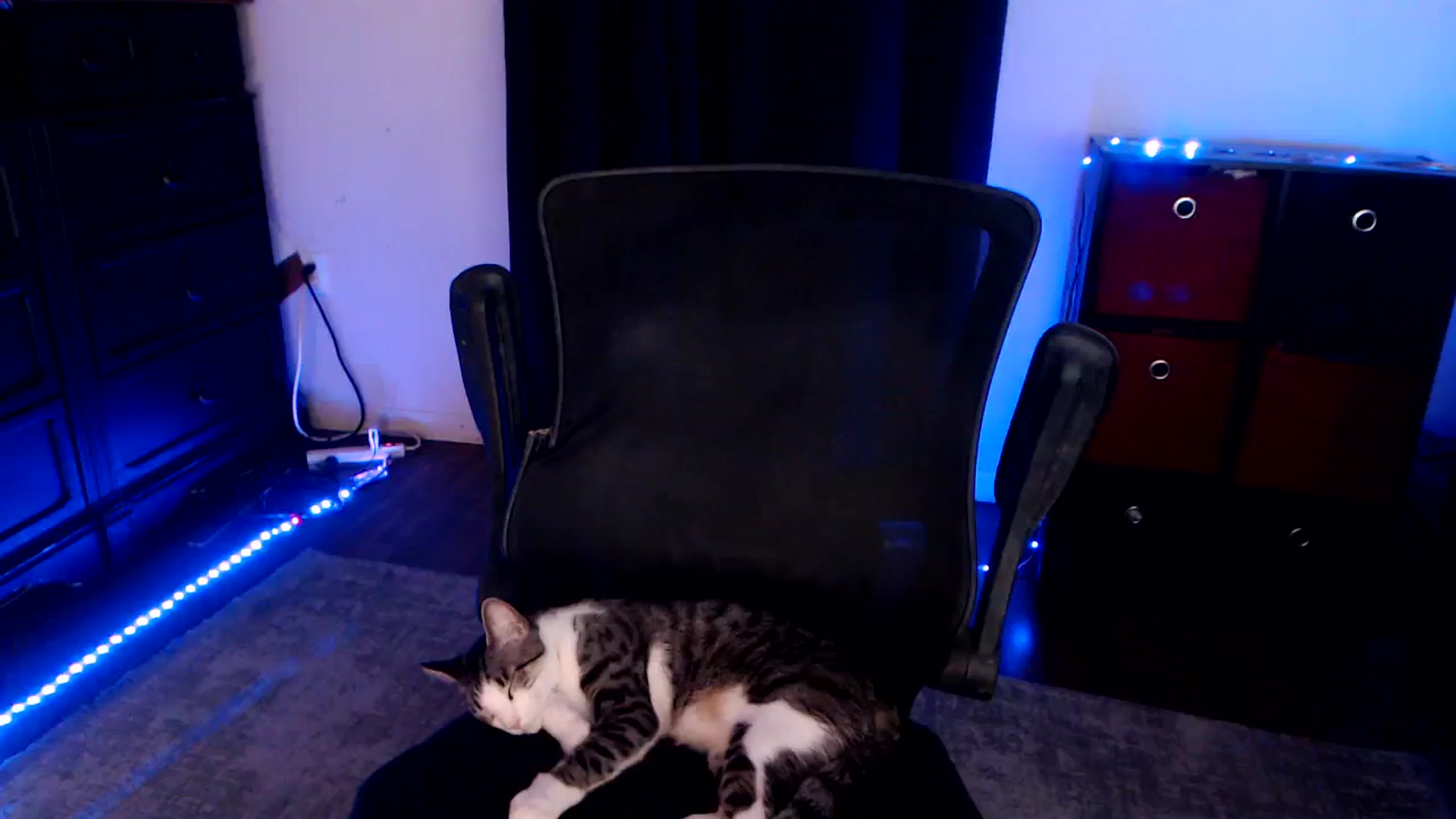 Gallery image thumbnail from SouthernSkye's myfreecams stream on, 05/28/2025, 08:09 image 15 of 20